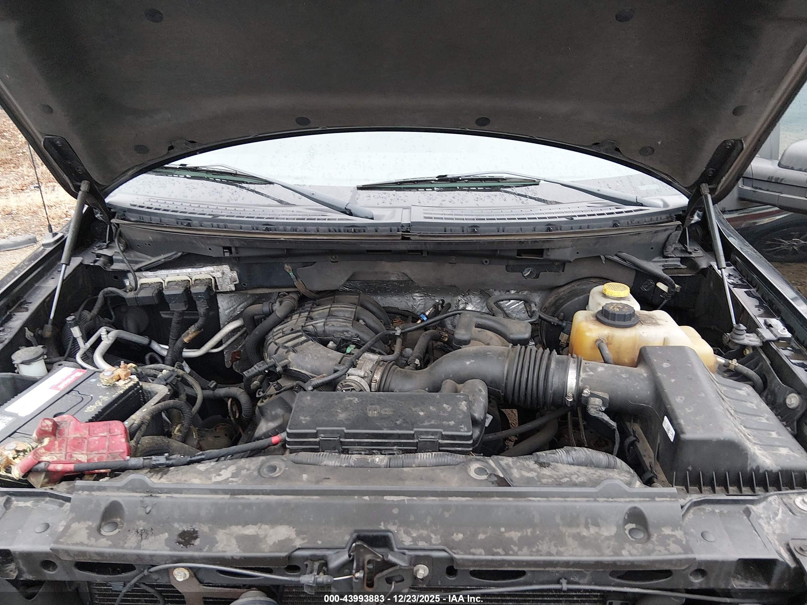 FORD F-150 image 10