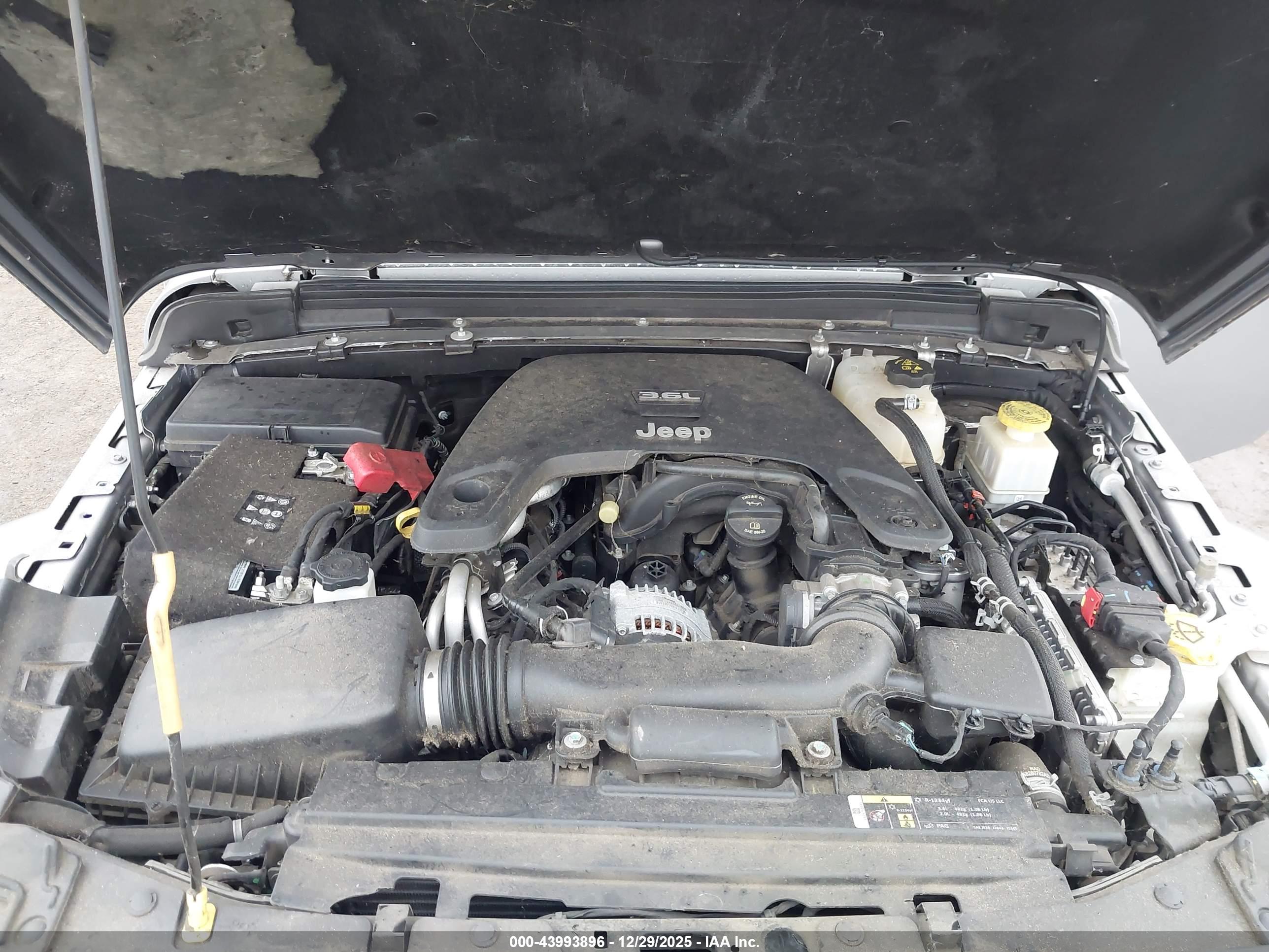 JEEP GLADIATOR image 10
