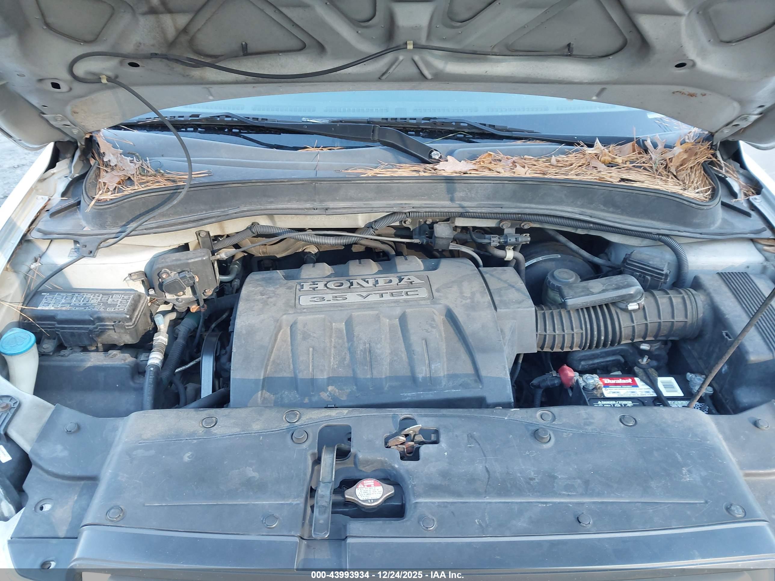 HONDA PILOT image 10