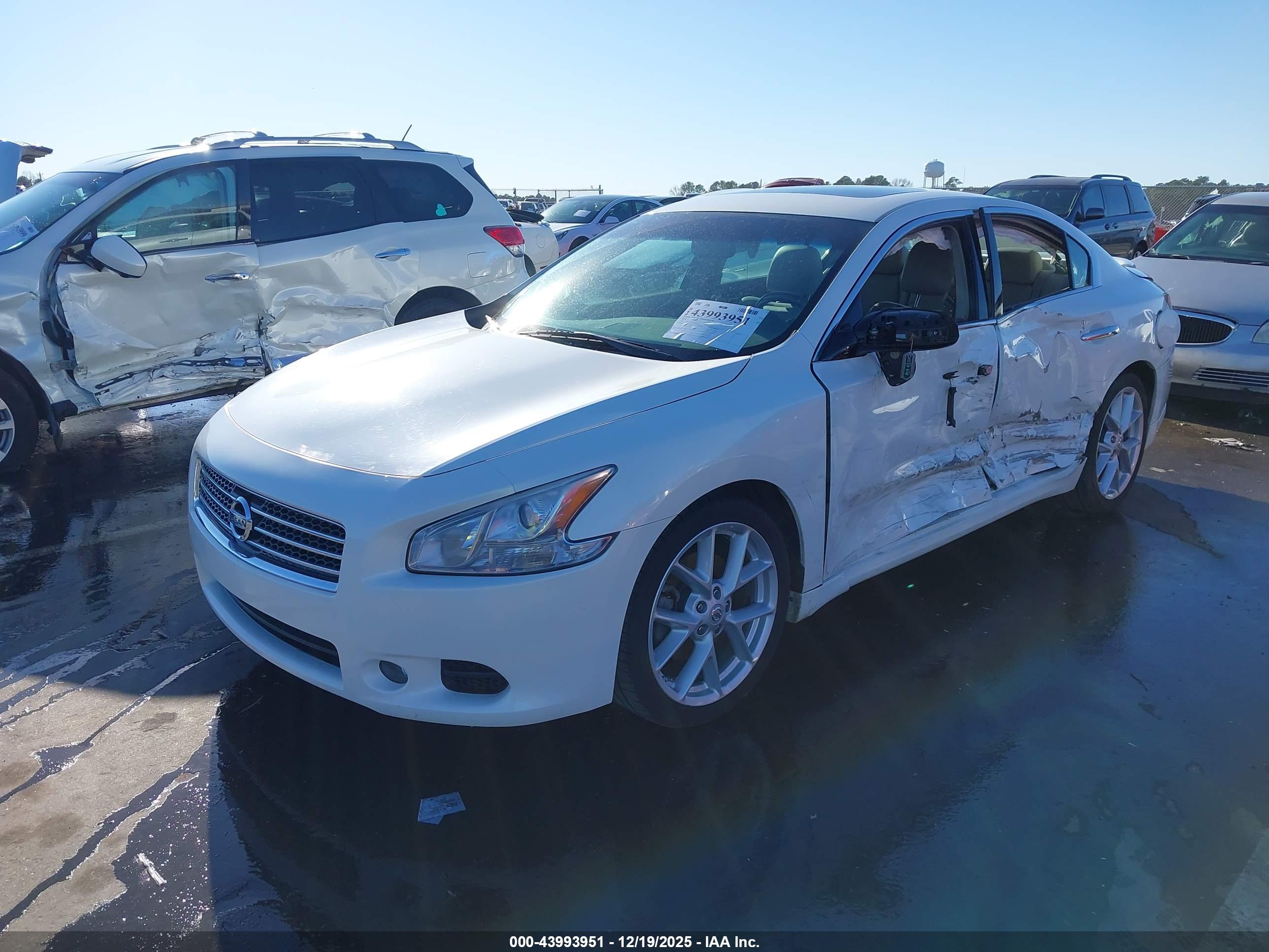 NISSAN MAXIMA image 2