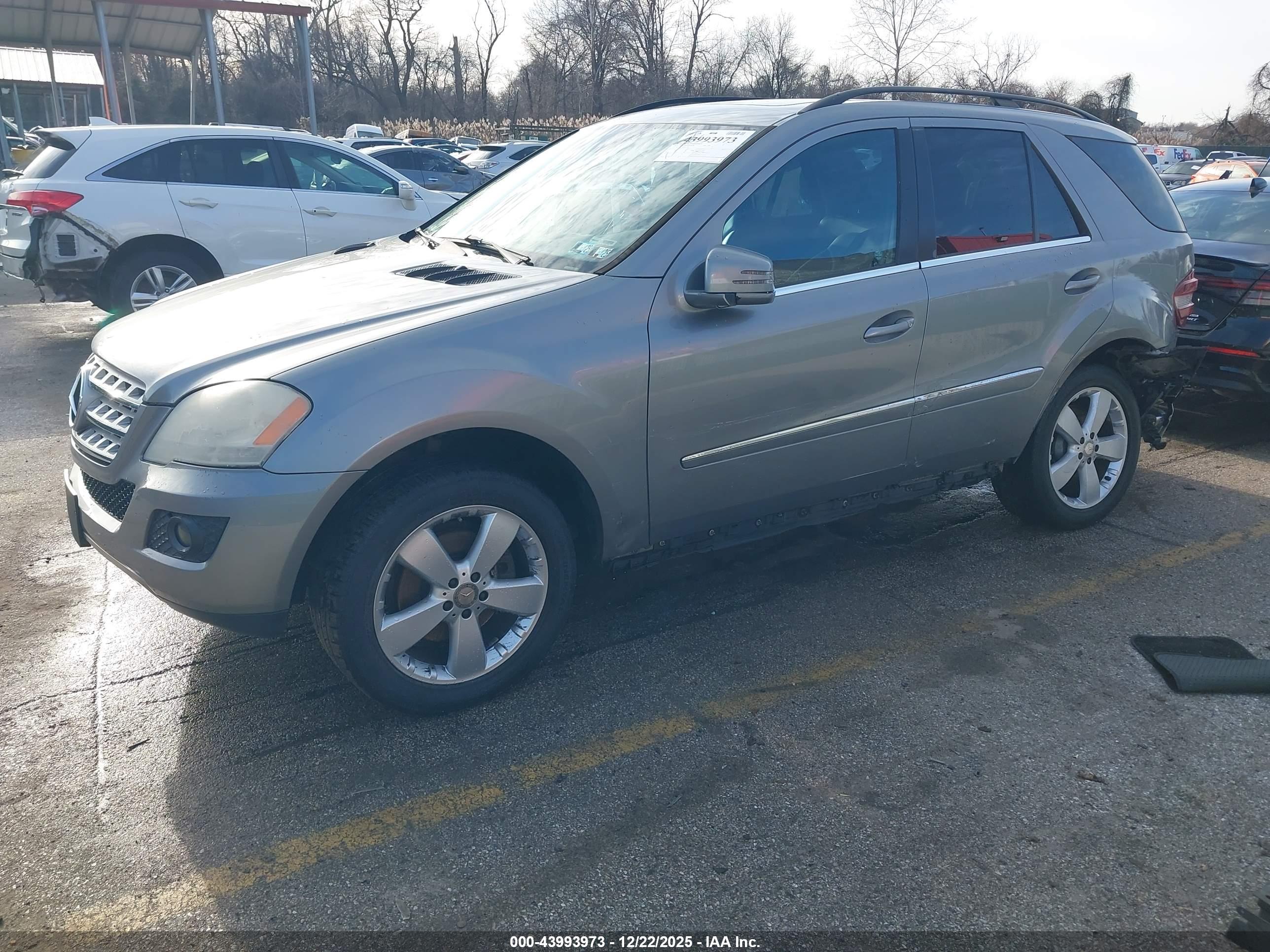 MERCEDES-BENZ ML image 2