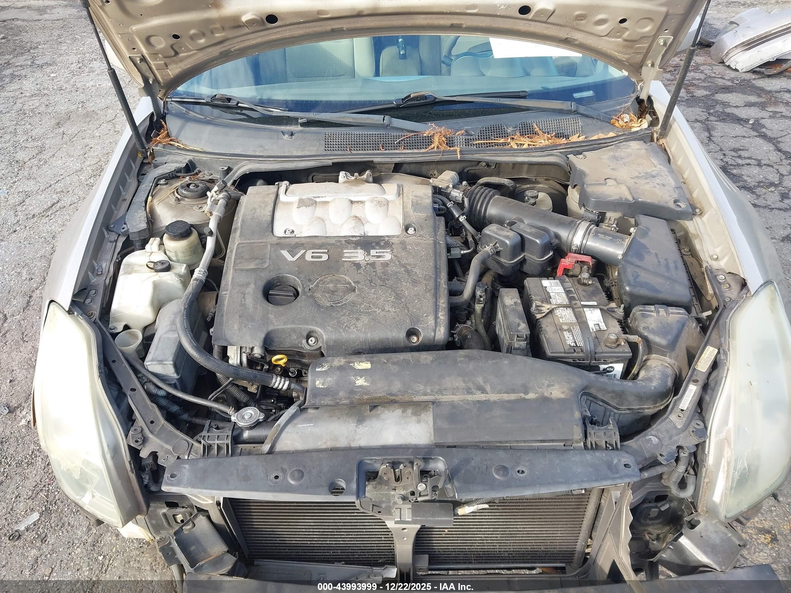 NISSAN MAXIMA image 10