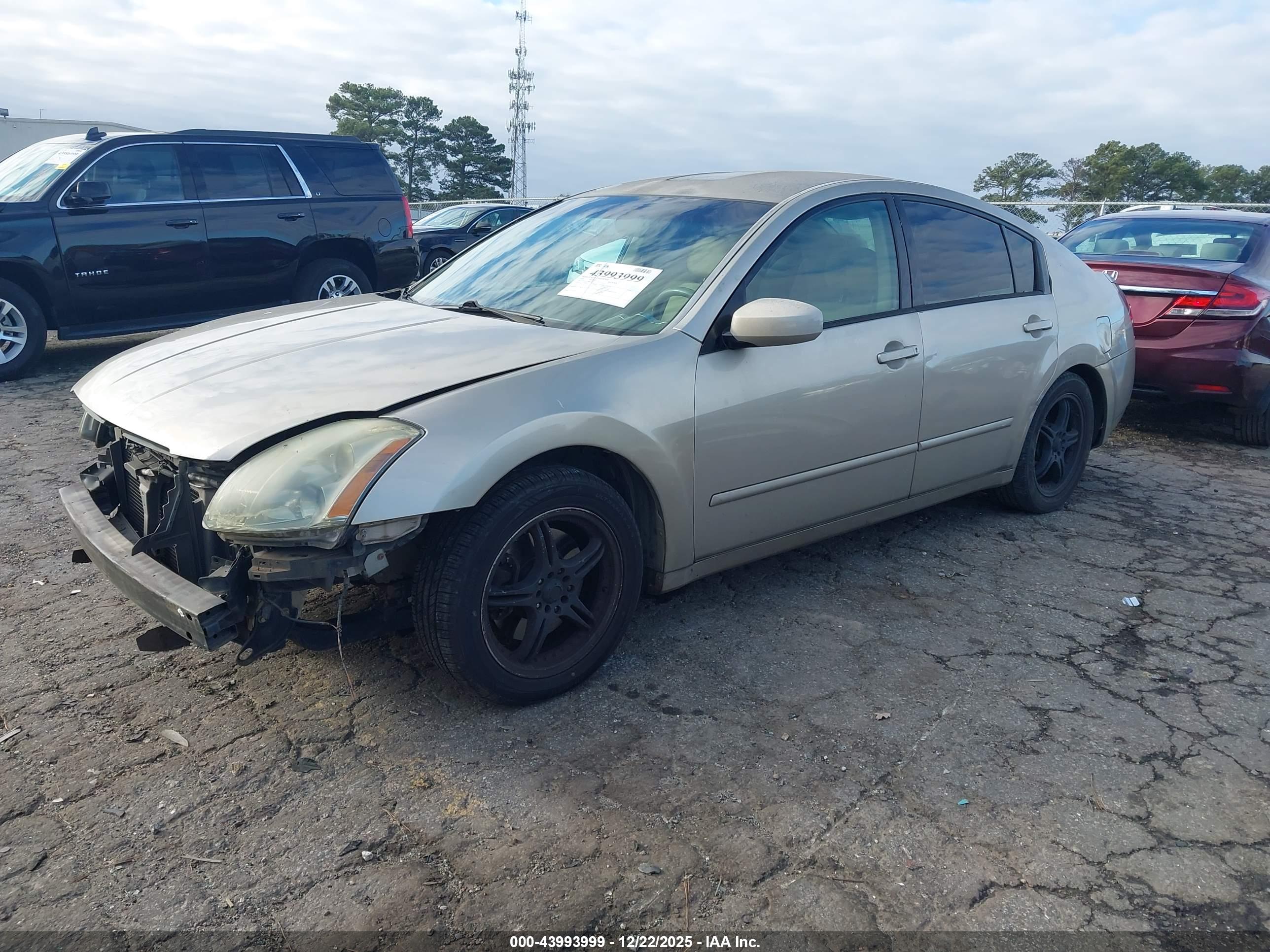 NISSAN MAXIMA image 2
