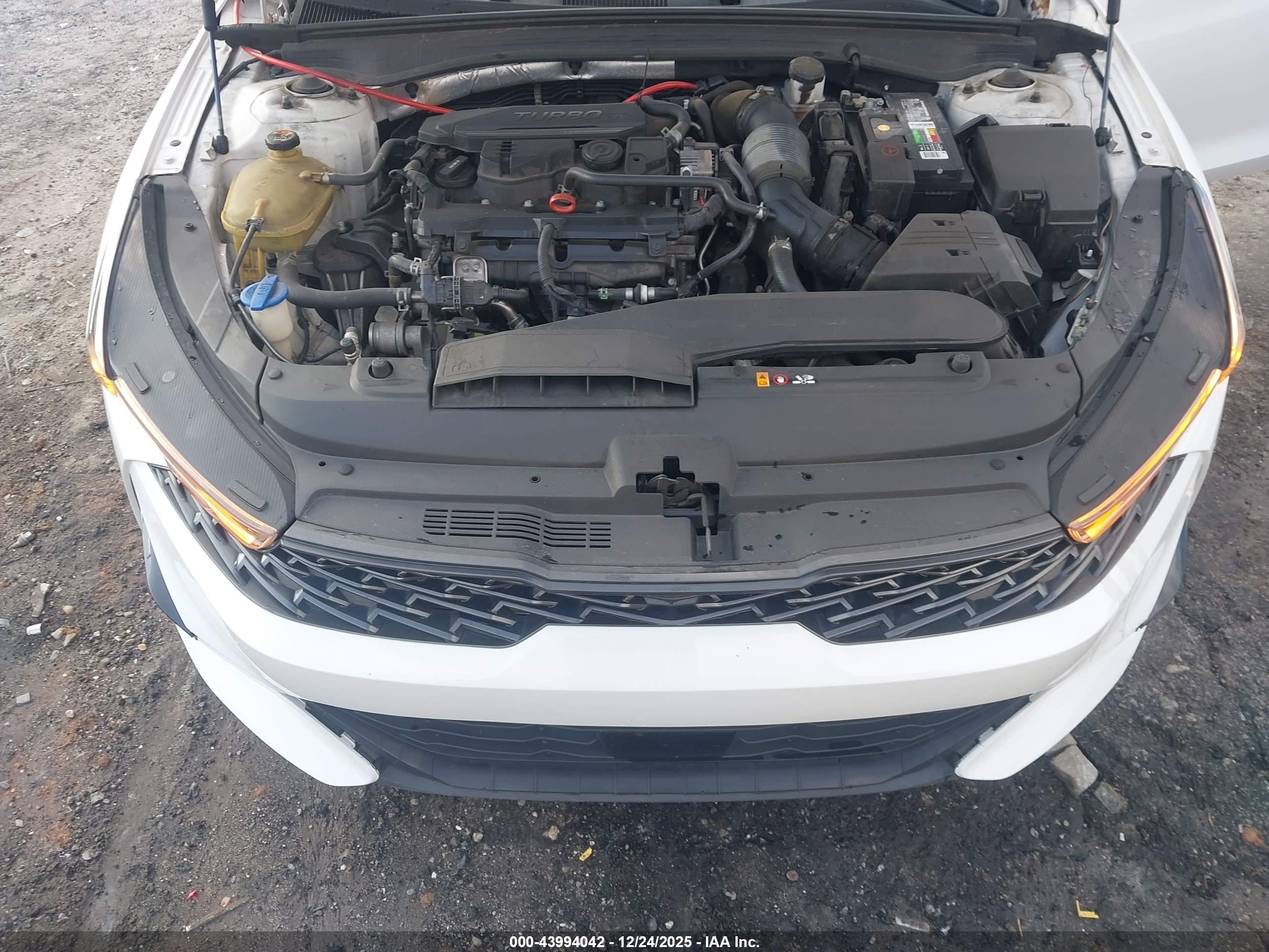 KIA K5 image 10