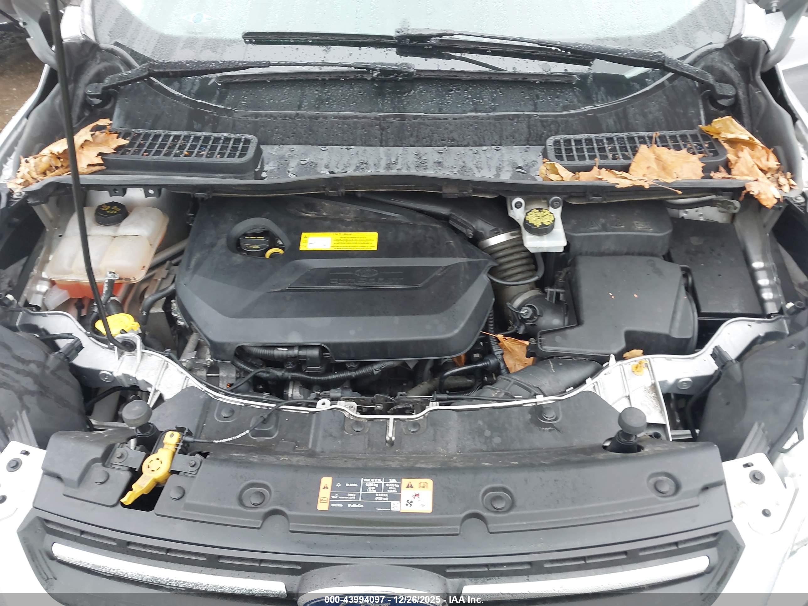 FORD ESCAPE image 10