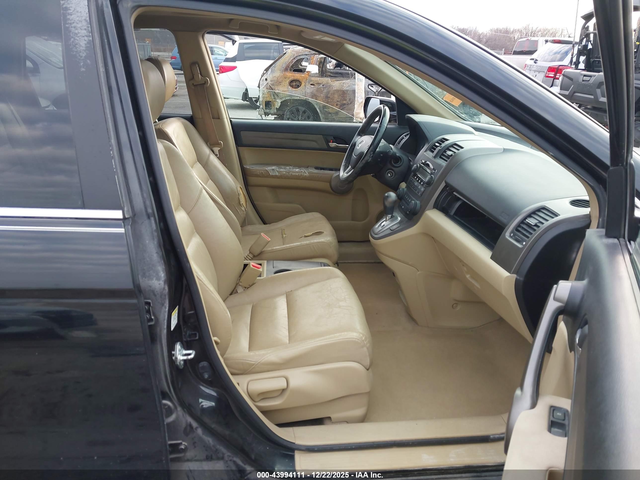 HONDA CR-V image 5