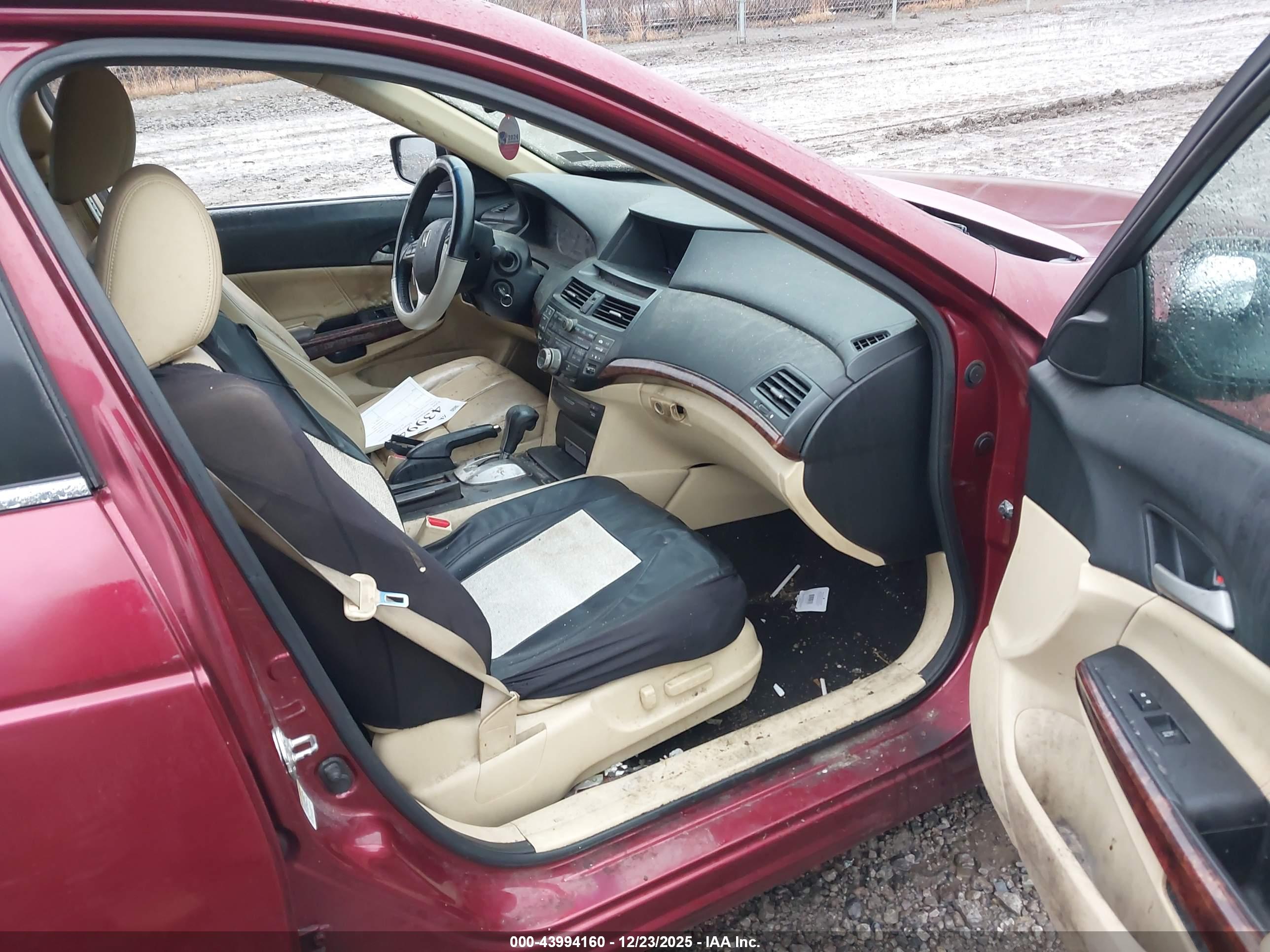 HONDA ACCORD image 5