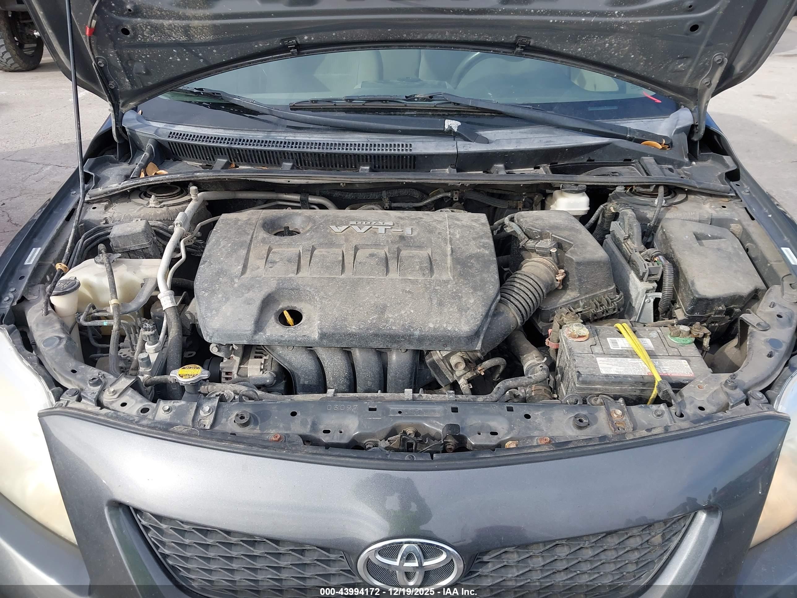 TOYOTA COROLLA image 10