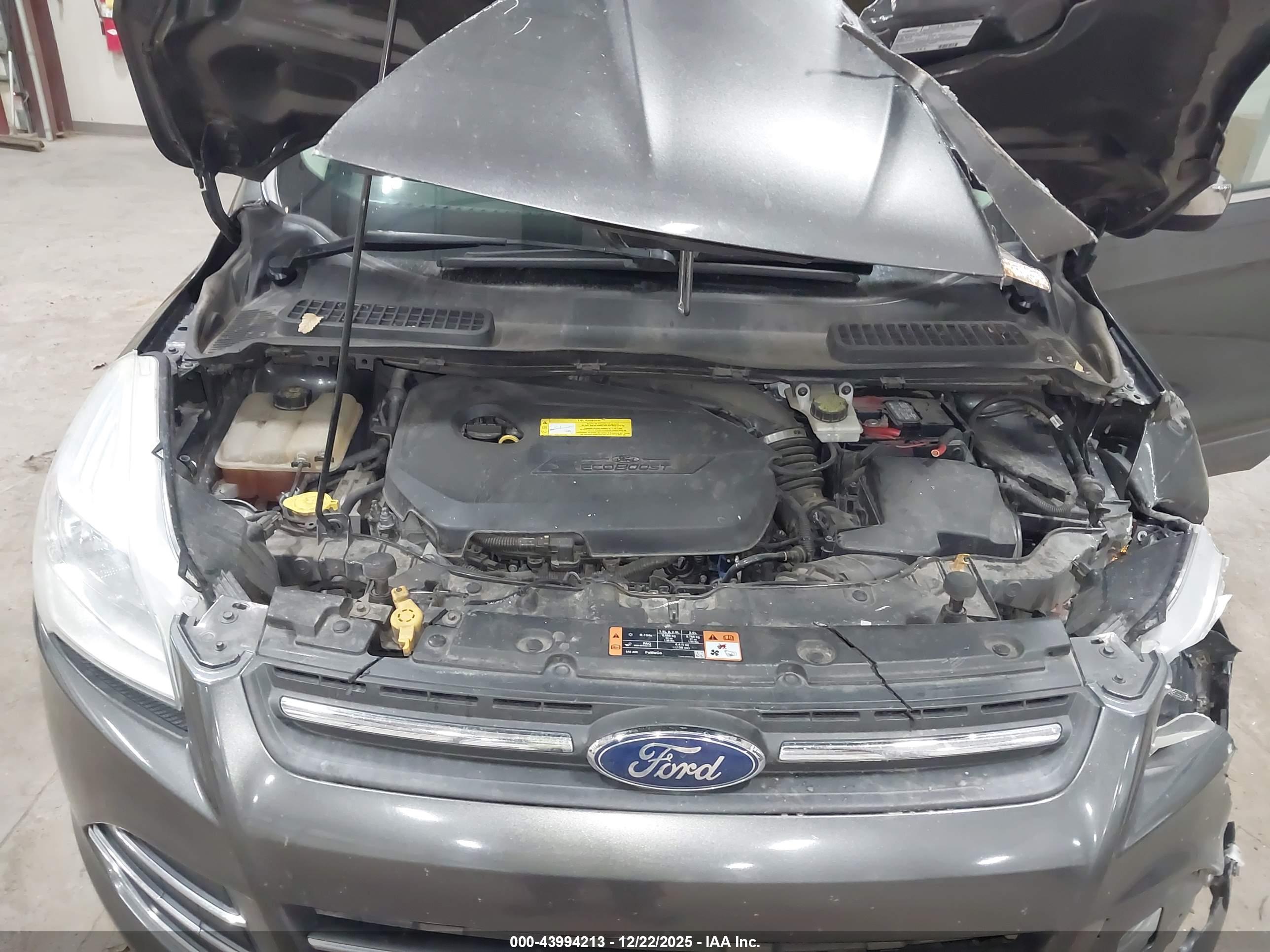 FORD ESCAPE image 10