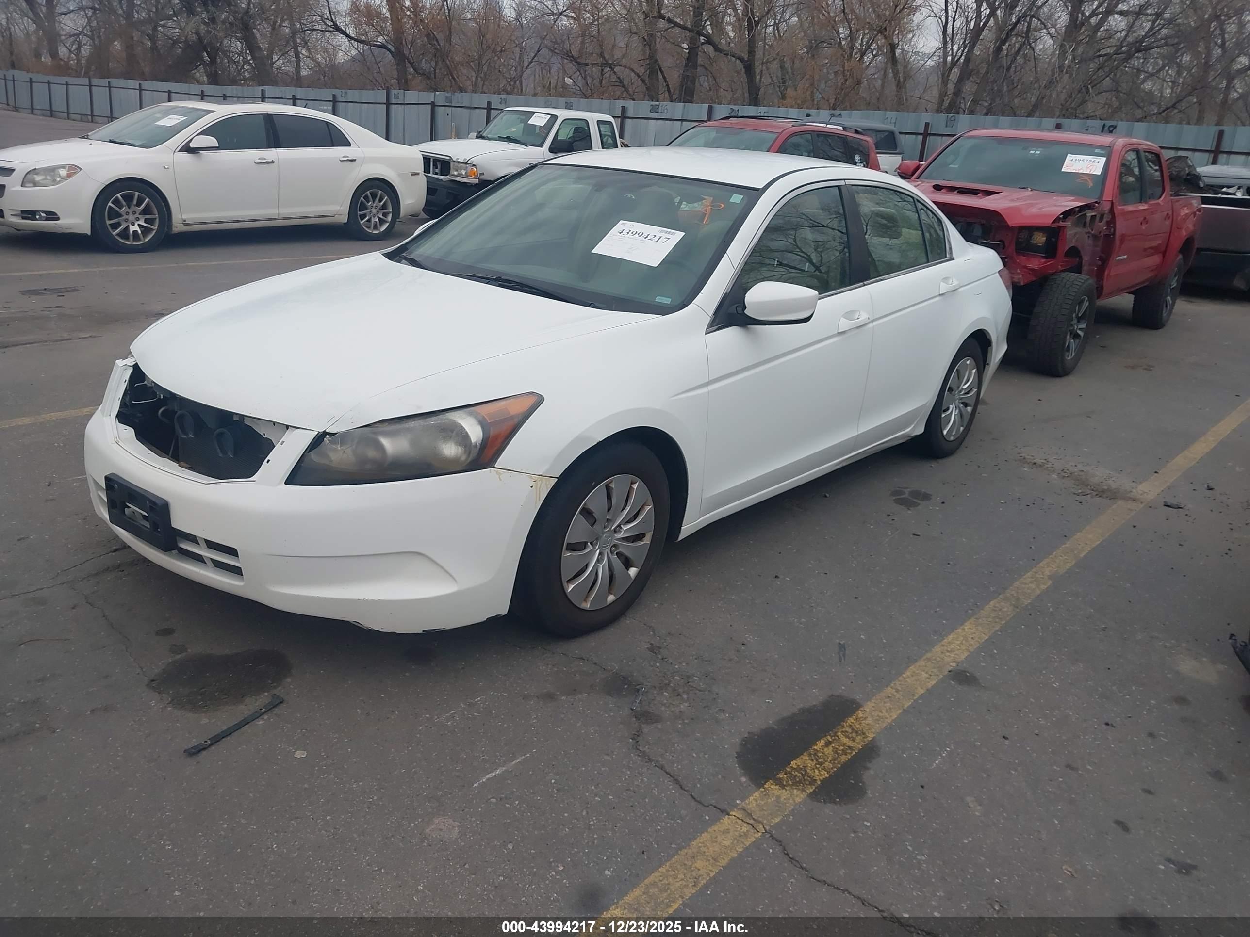 HONDA ACCORD image 2