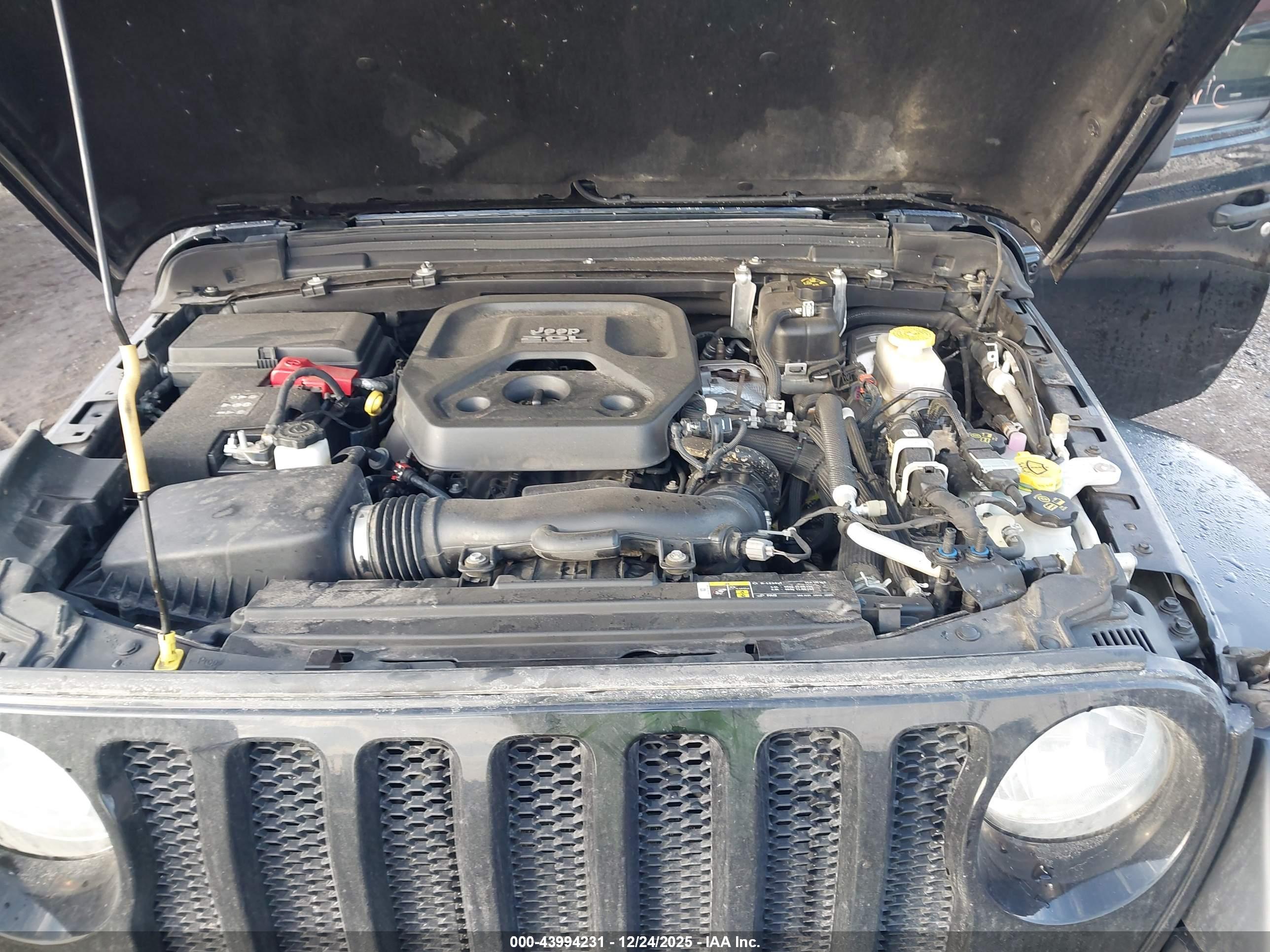 JEEP WRANGLER image 10