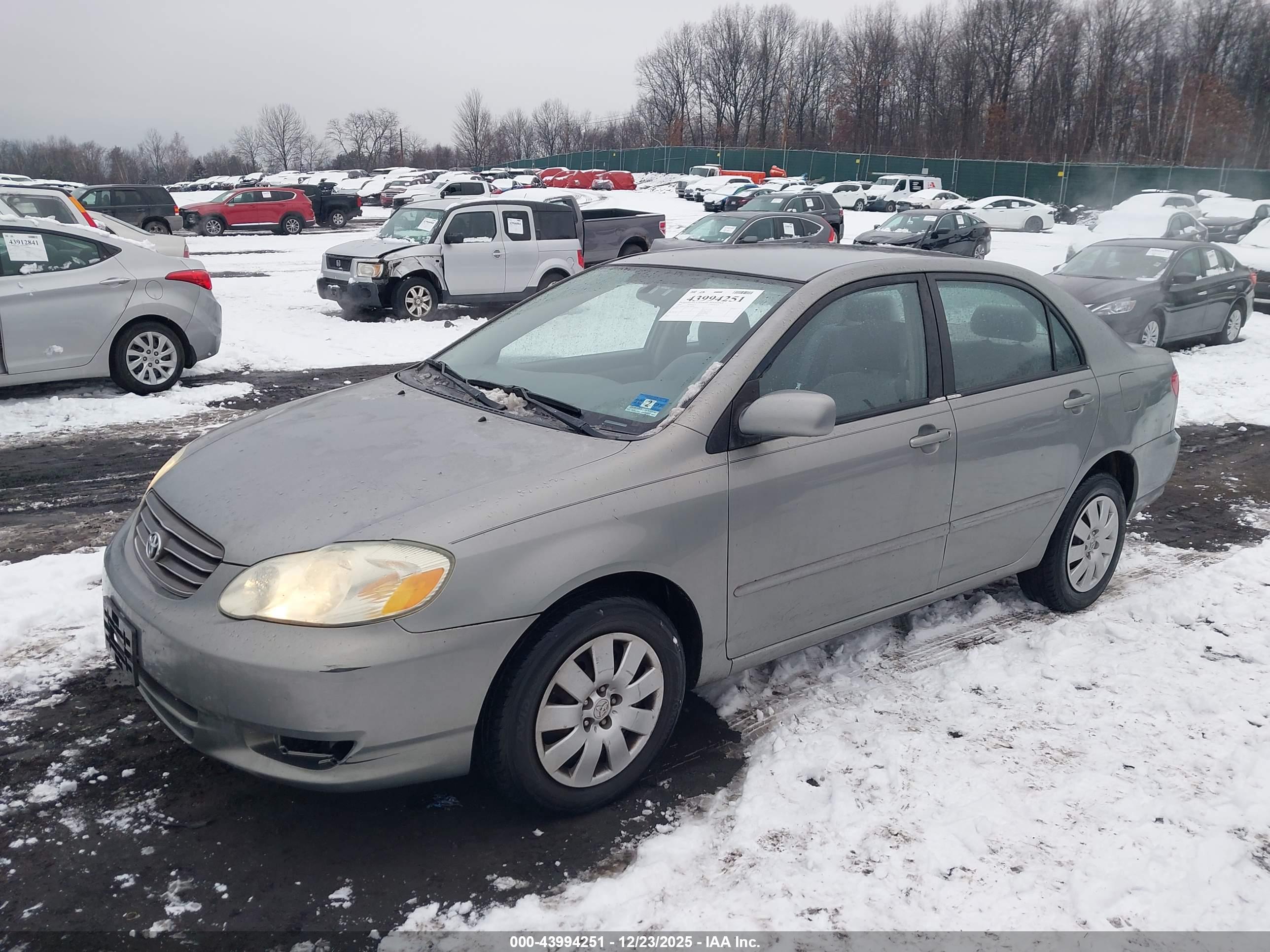 TOYOTA COROLLA image 2