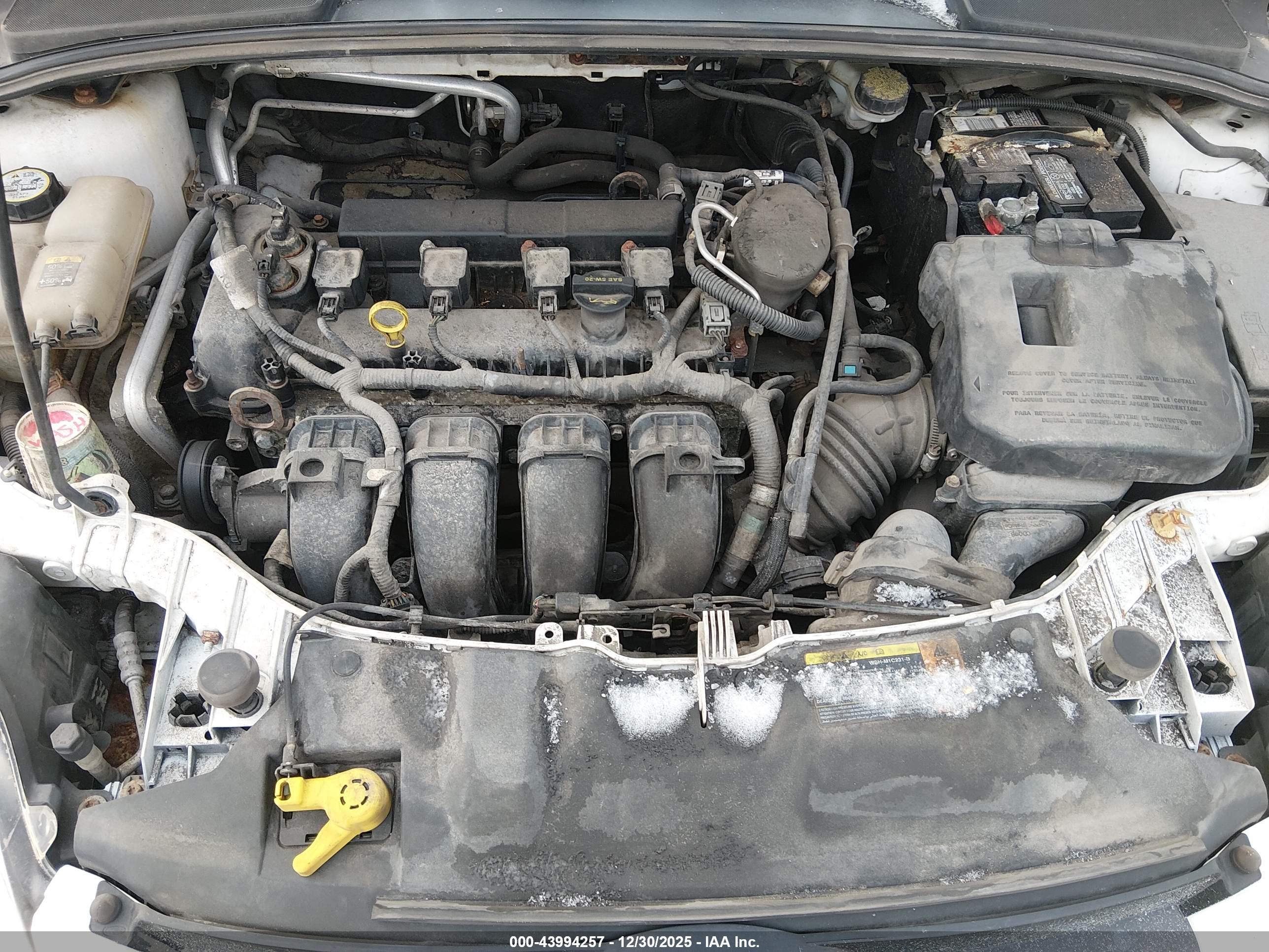 FORD FOCUS image 10
