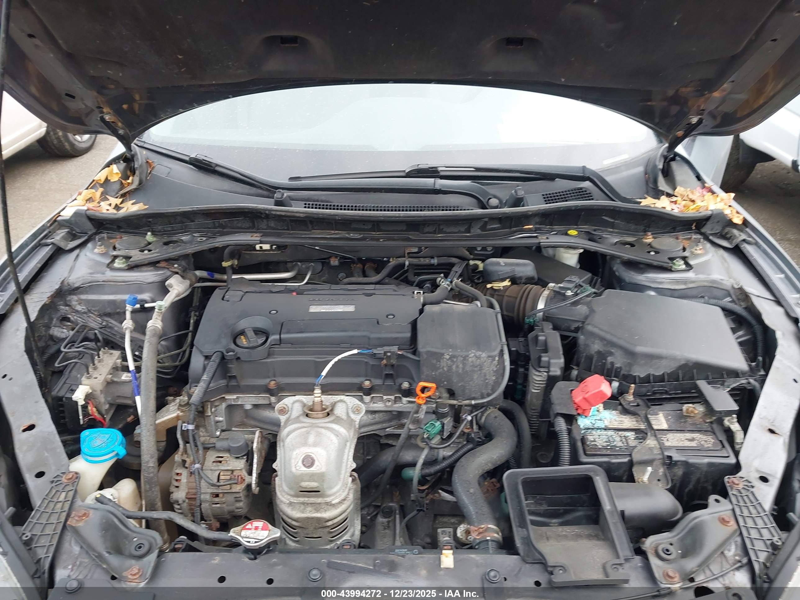 HONDA ACCORD image 10