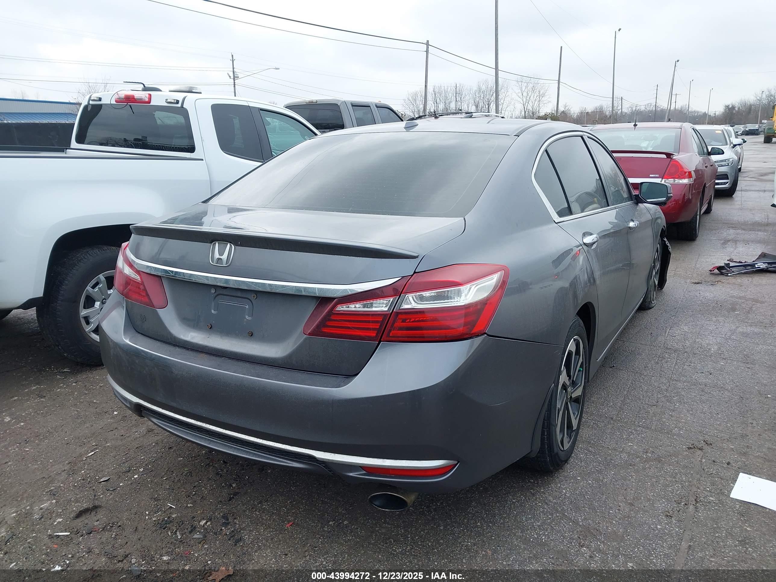 HONDA ACCORD image 4