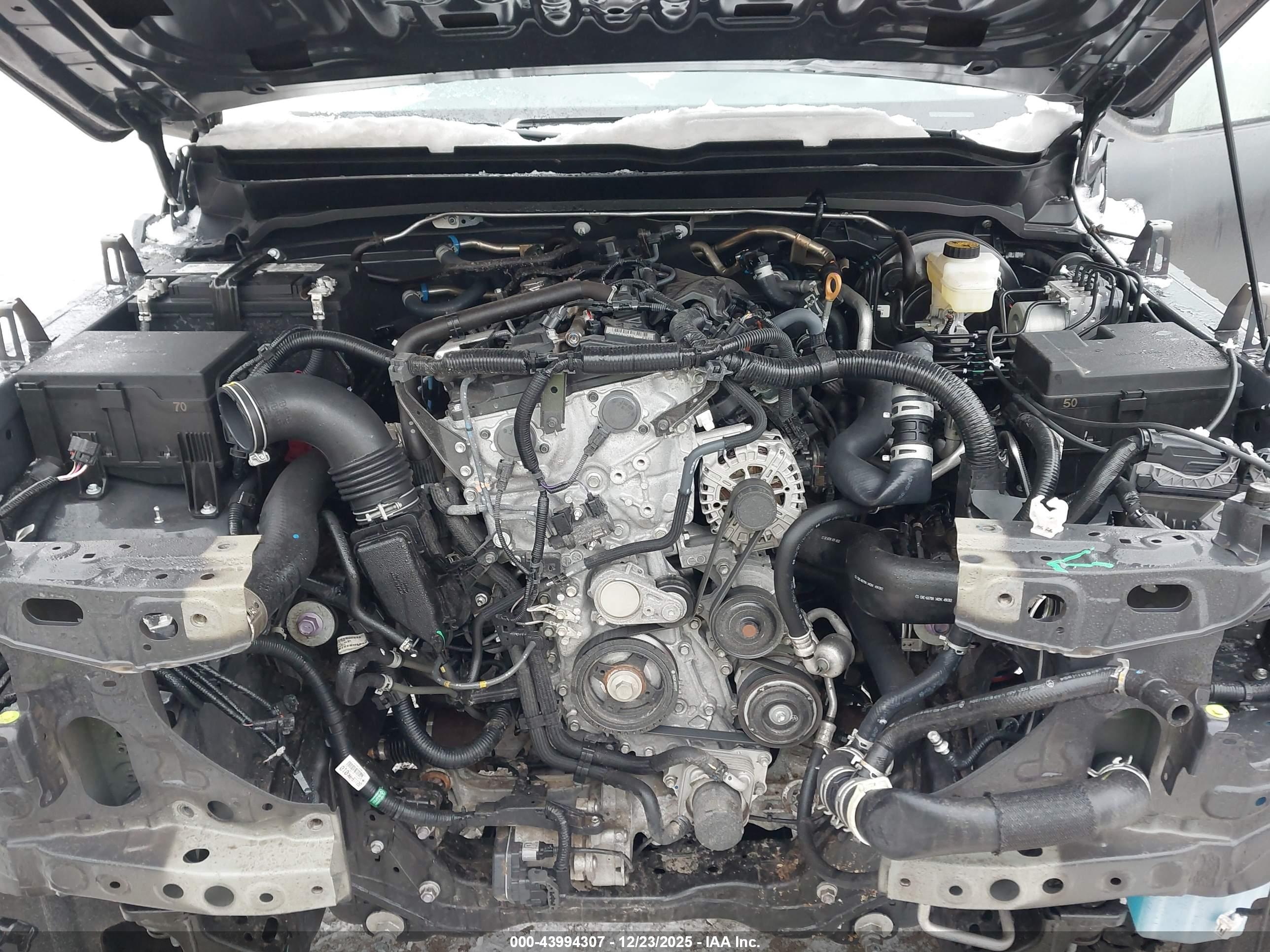 TOYOTA TACOMA image 10