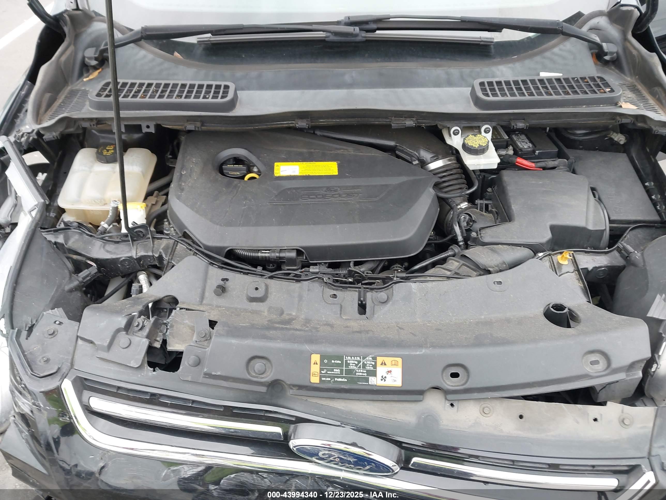 FORD ESCAPE image 10