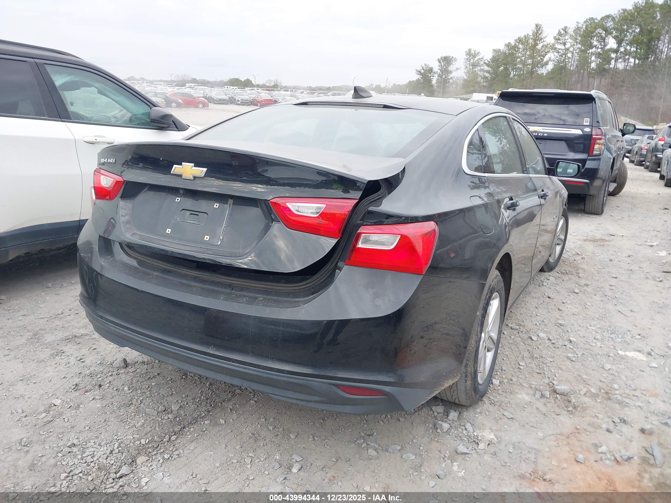 CHEVROLET MALIBU image 4