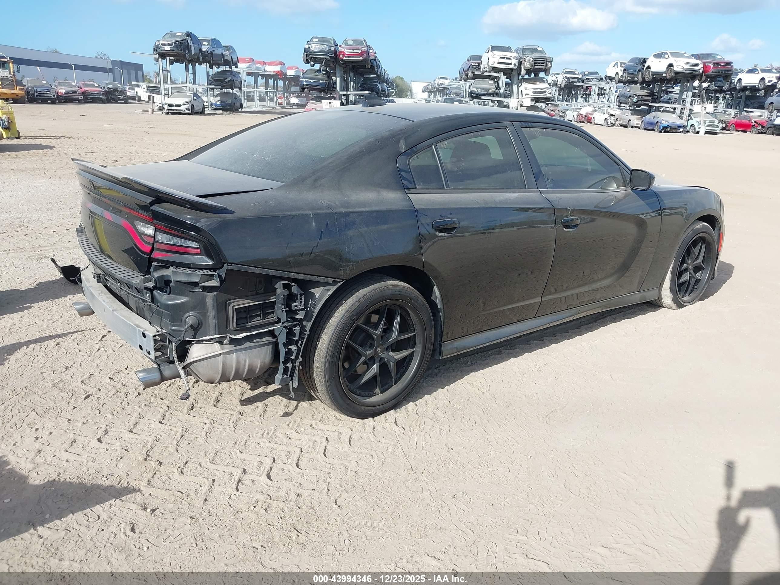 DODGE CHARGER image 4