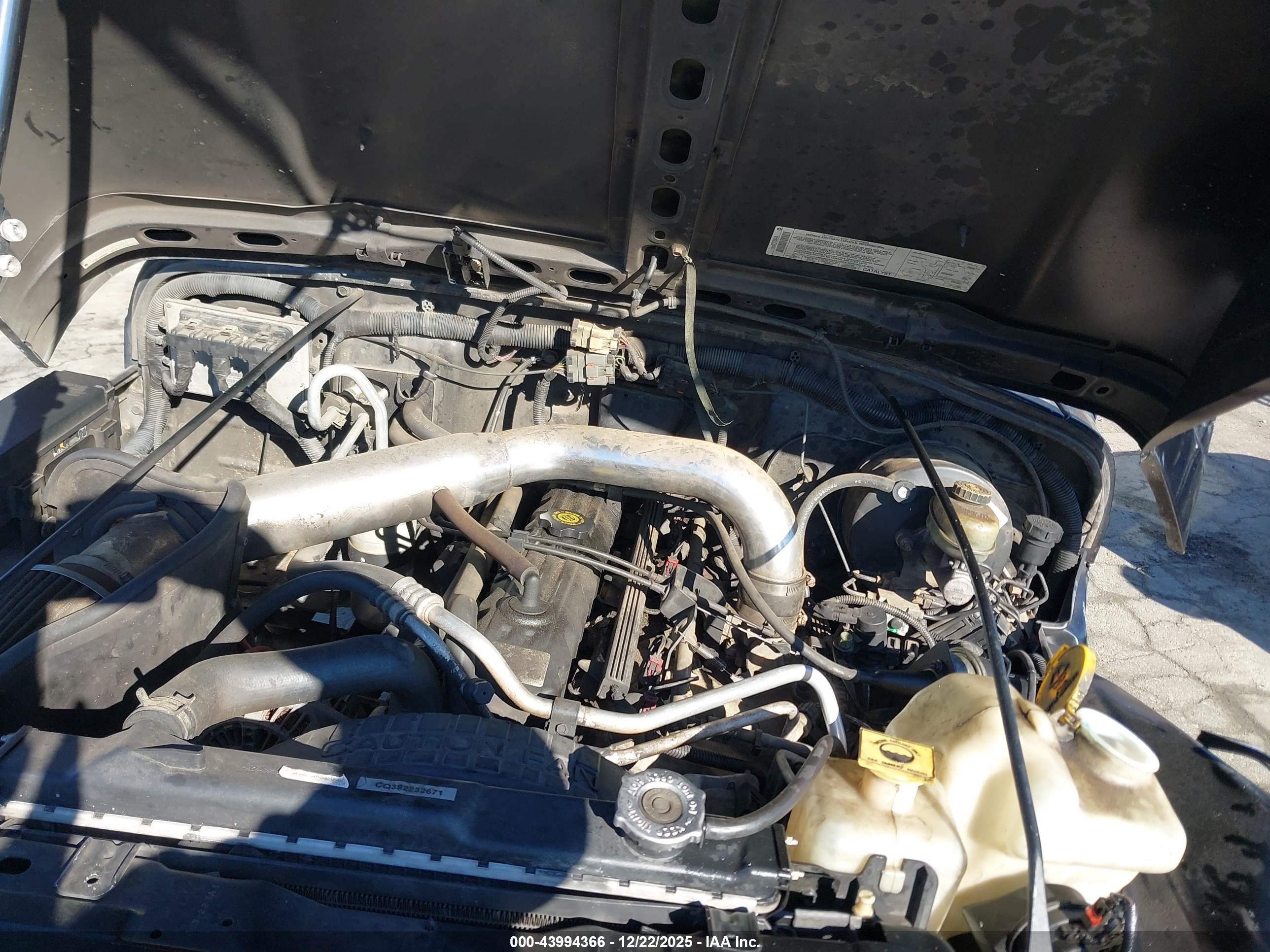 JEEP WRANGLER image 10