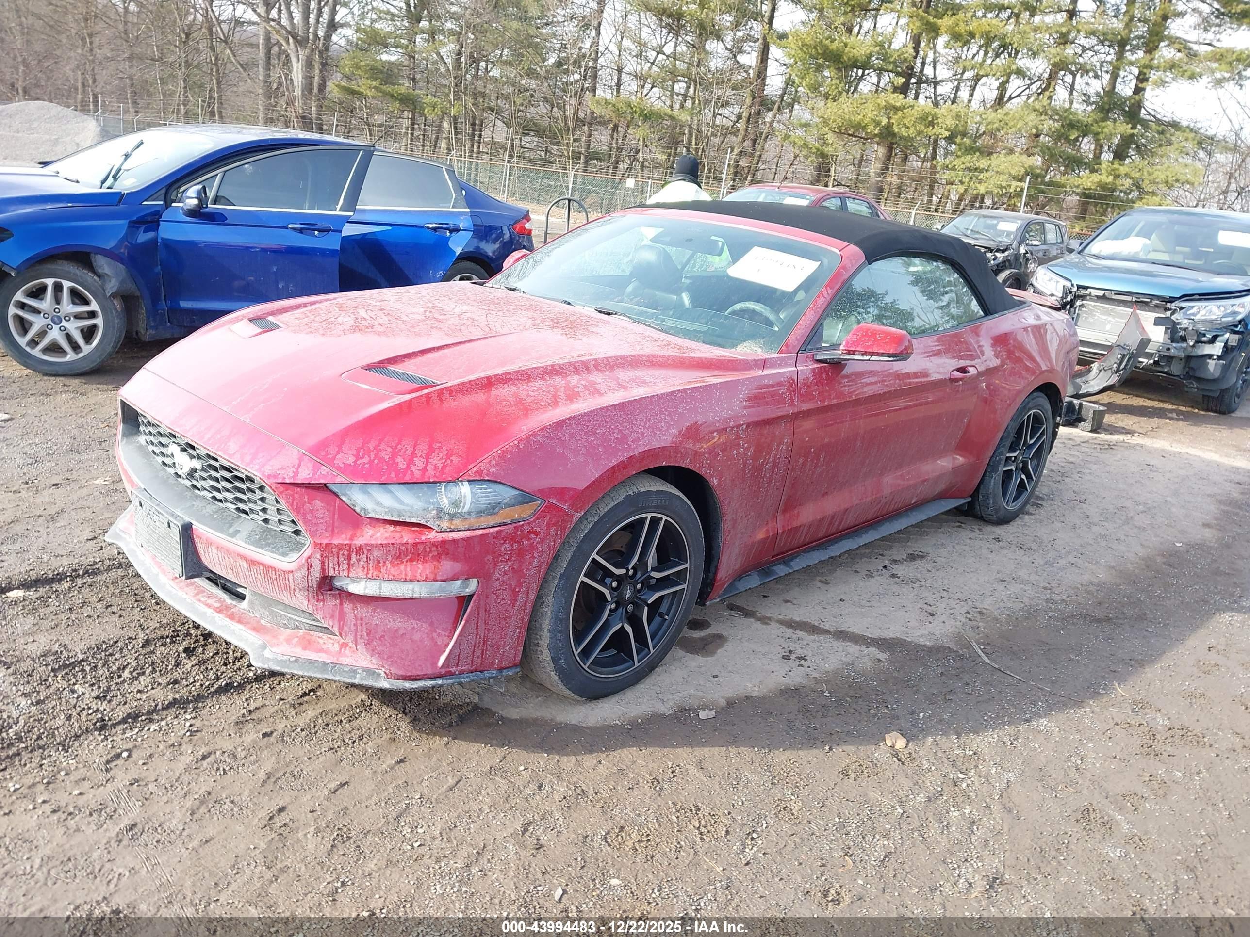 FORD MUSTANG image 2