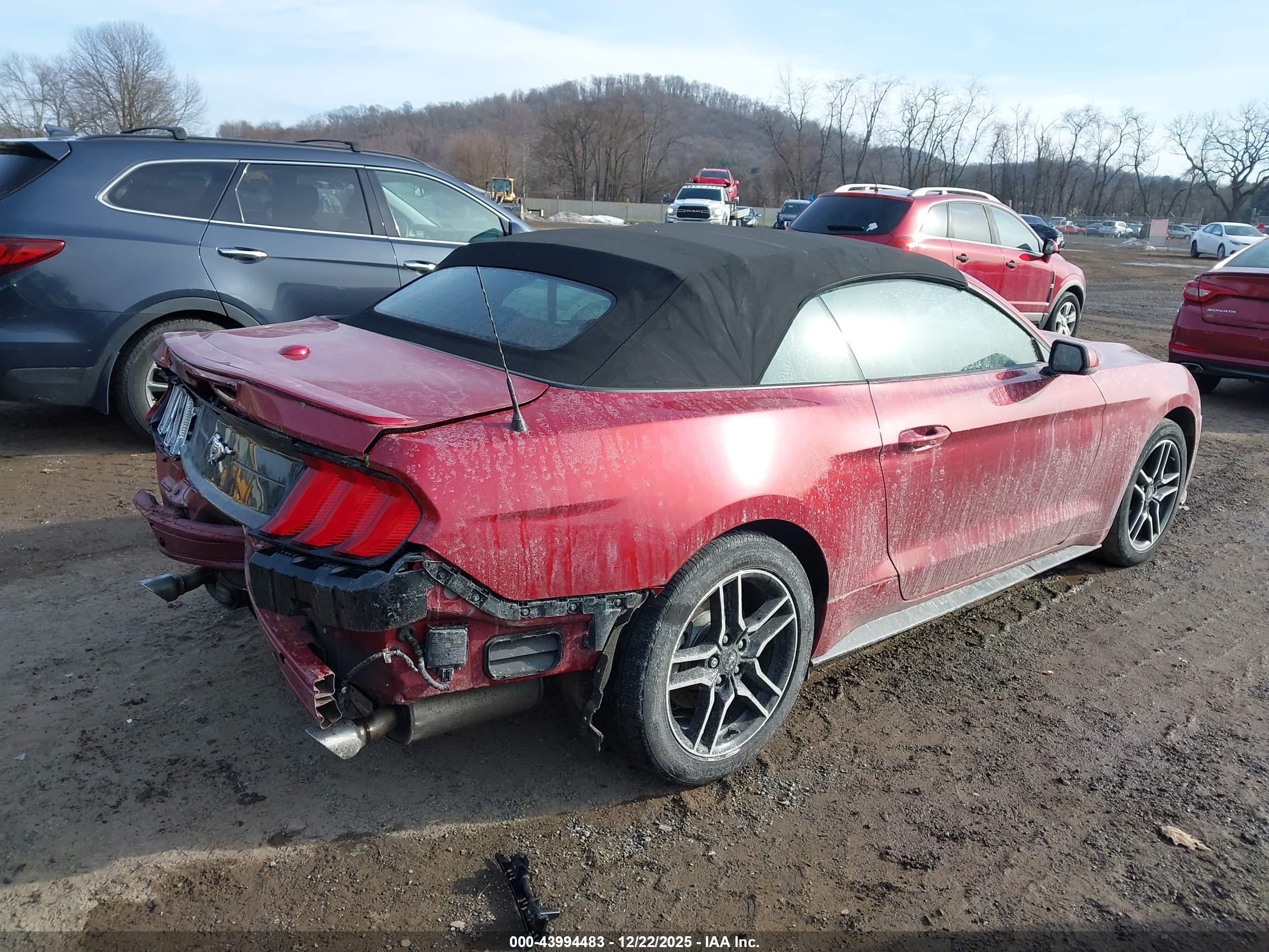 FORD MUSTANG image 4