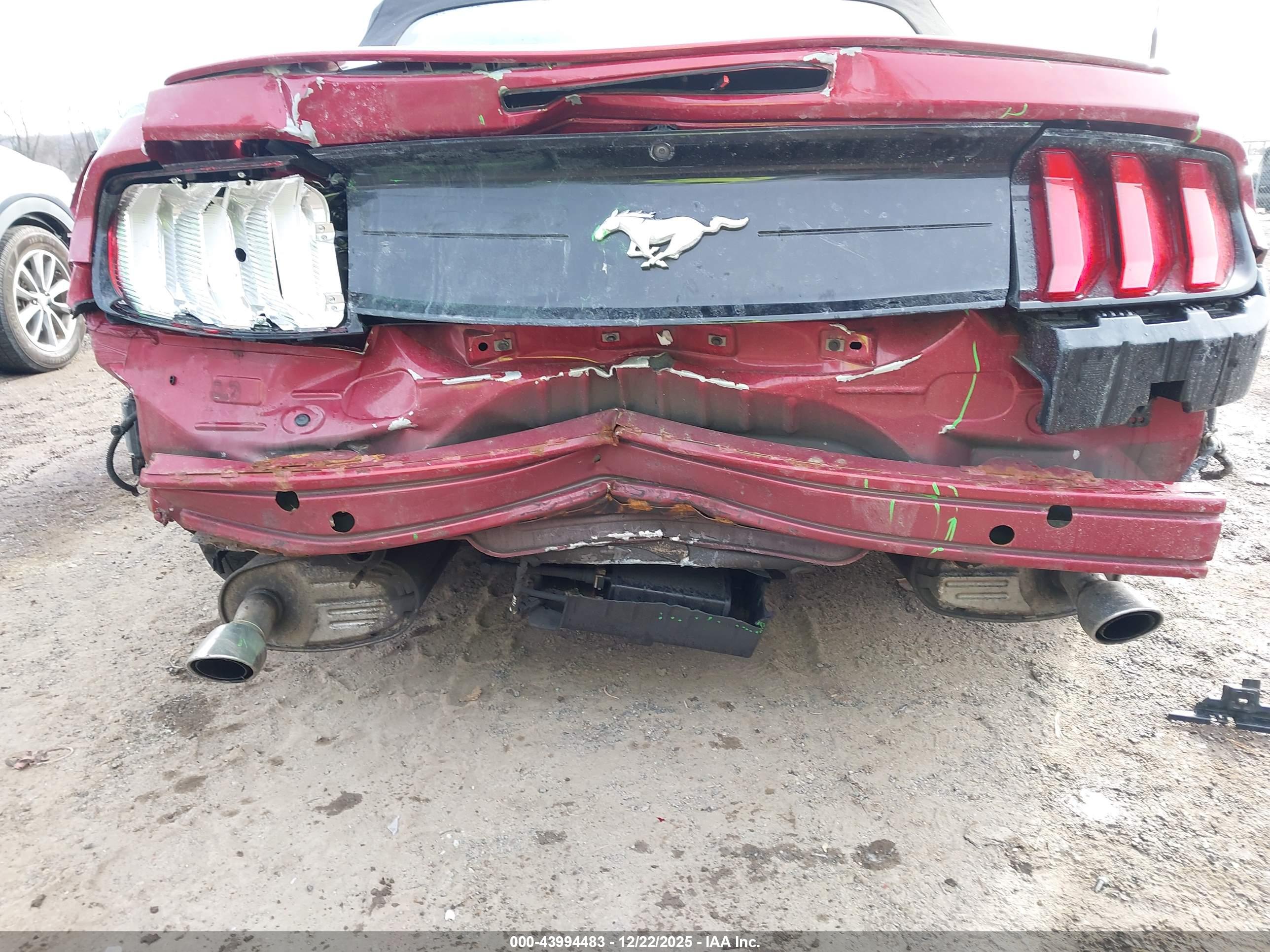 FORD MUSTANG image 6
