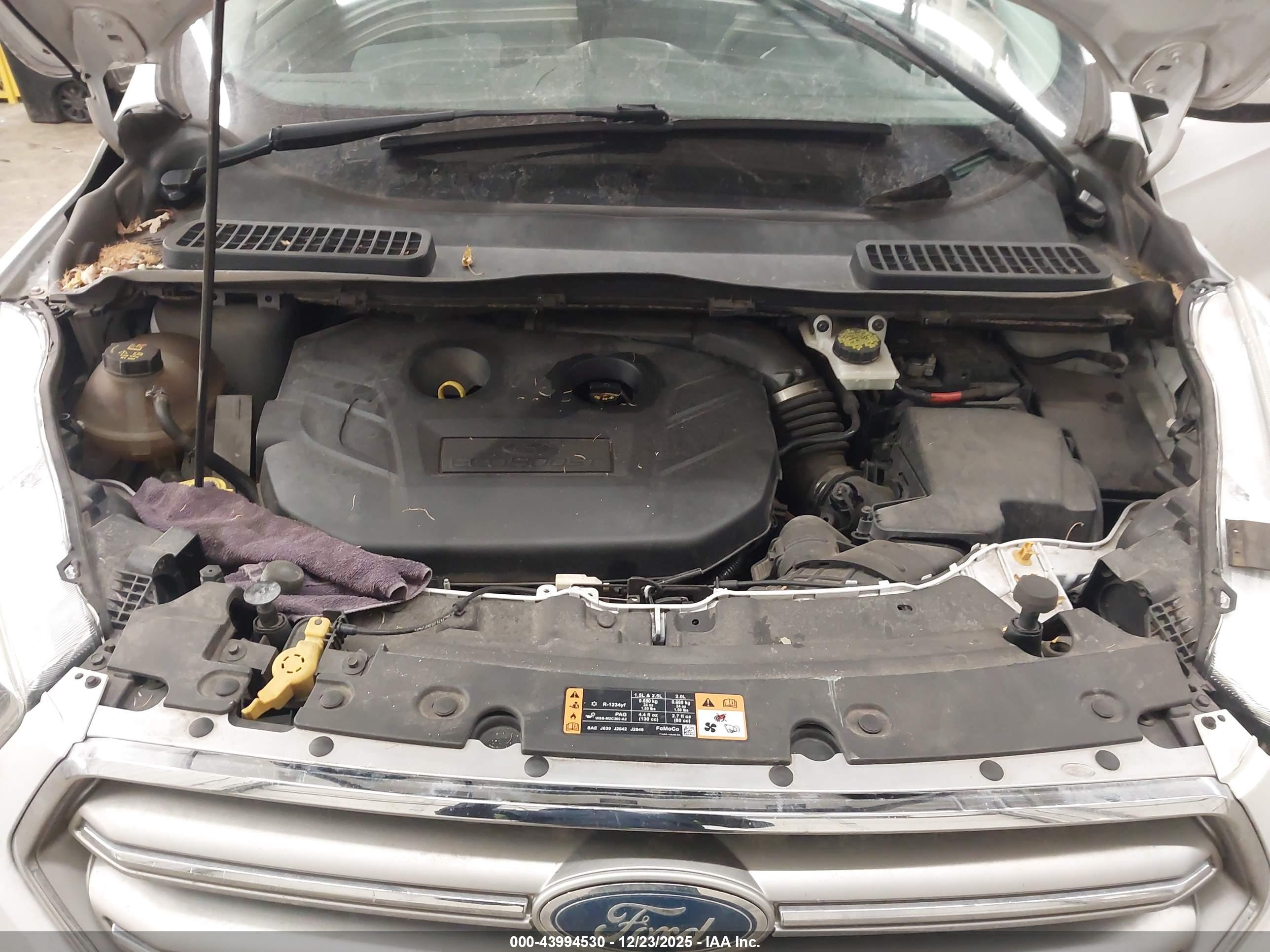 FORD ESCAPE image 10
