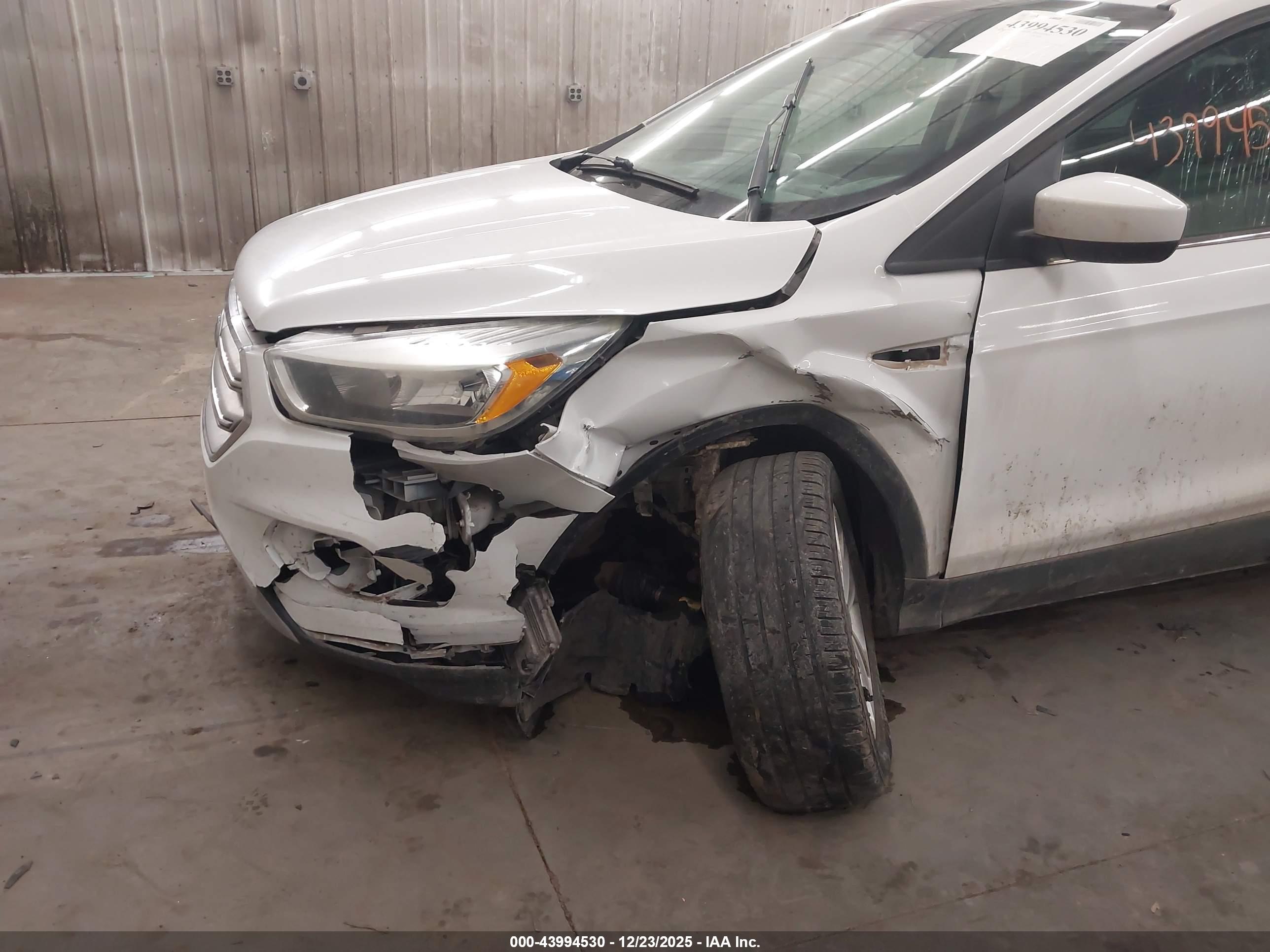 FORD ESCAPE image 6