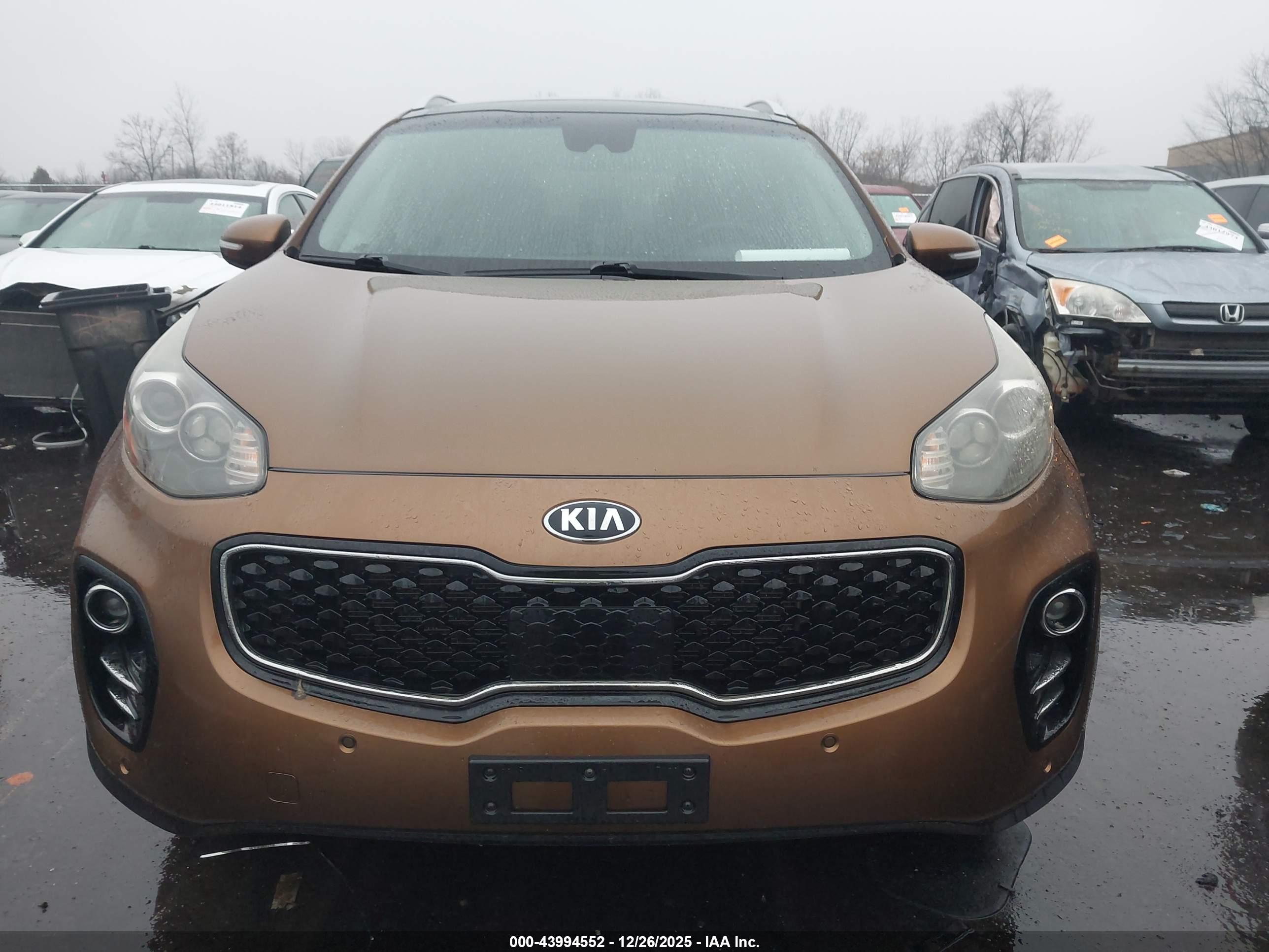 KIA SPORTAGE image 6