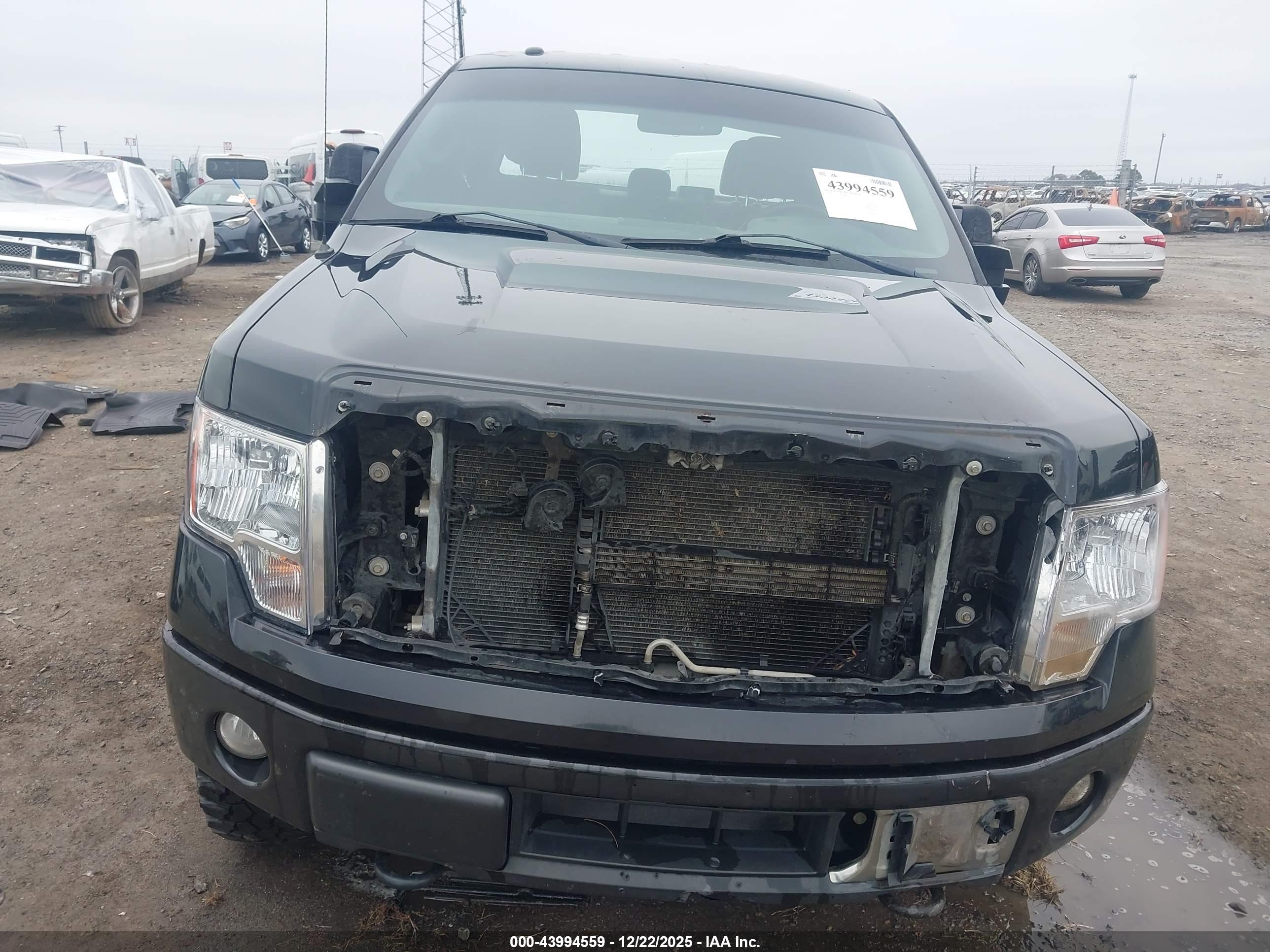 FORD F-150 image 6
