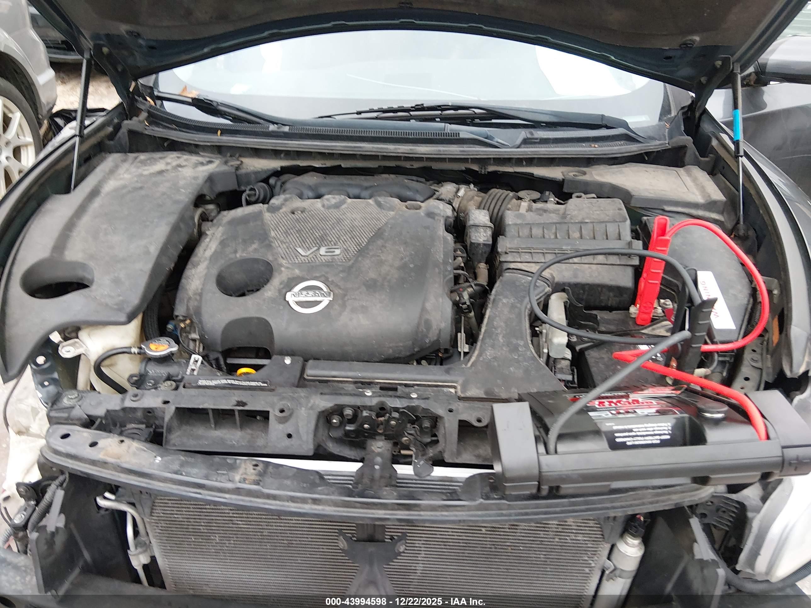 NISSAN MAXIMA image 10