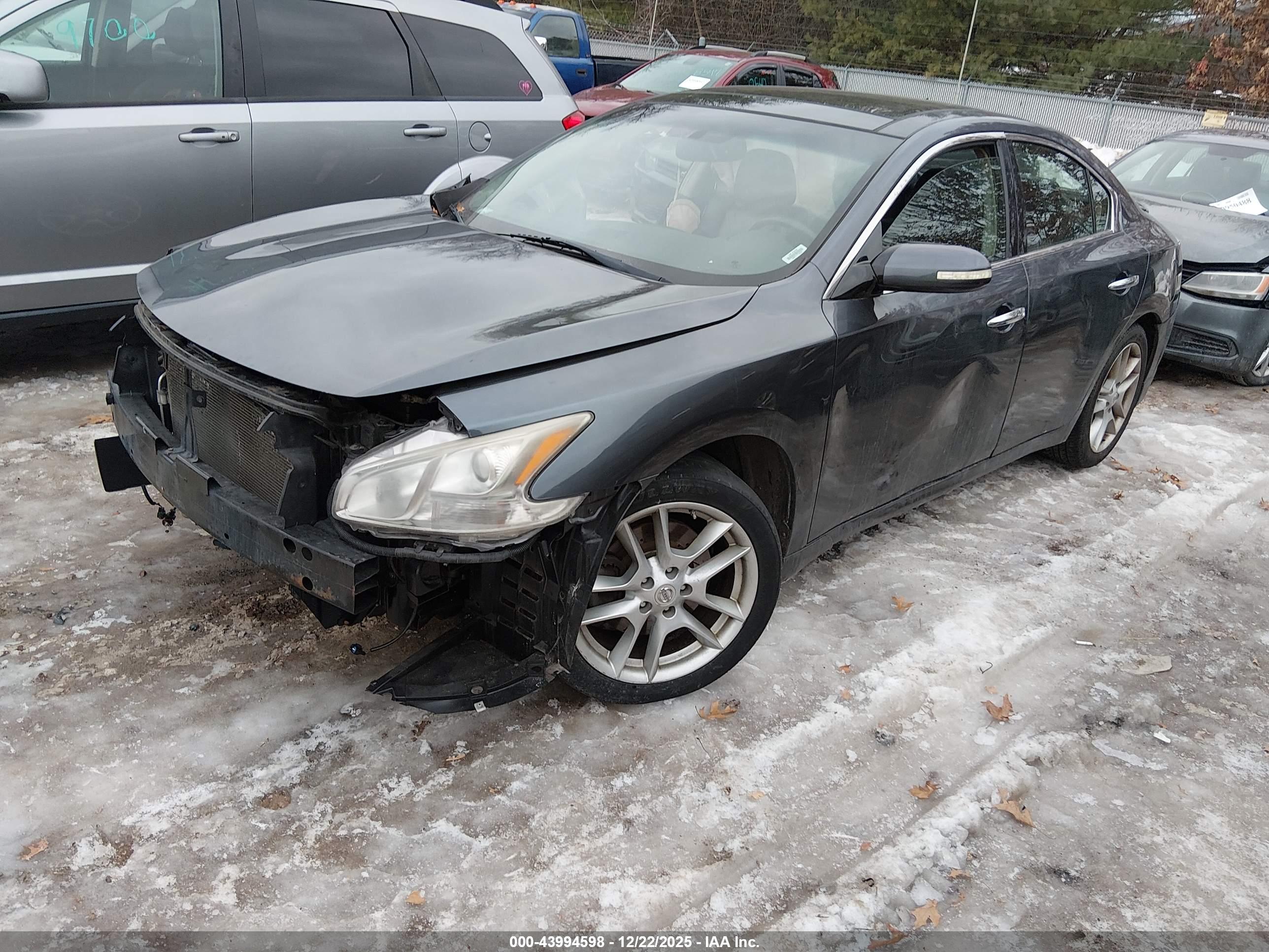 NISSAN MAXIMA image 2