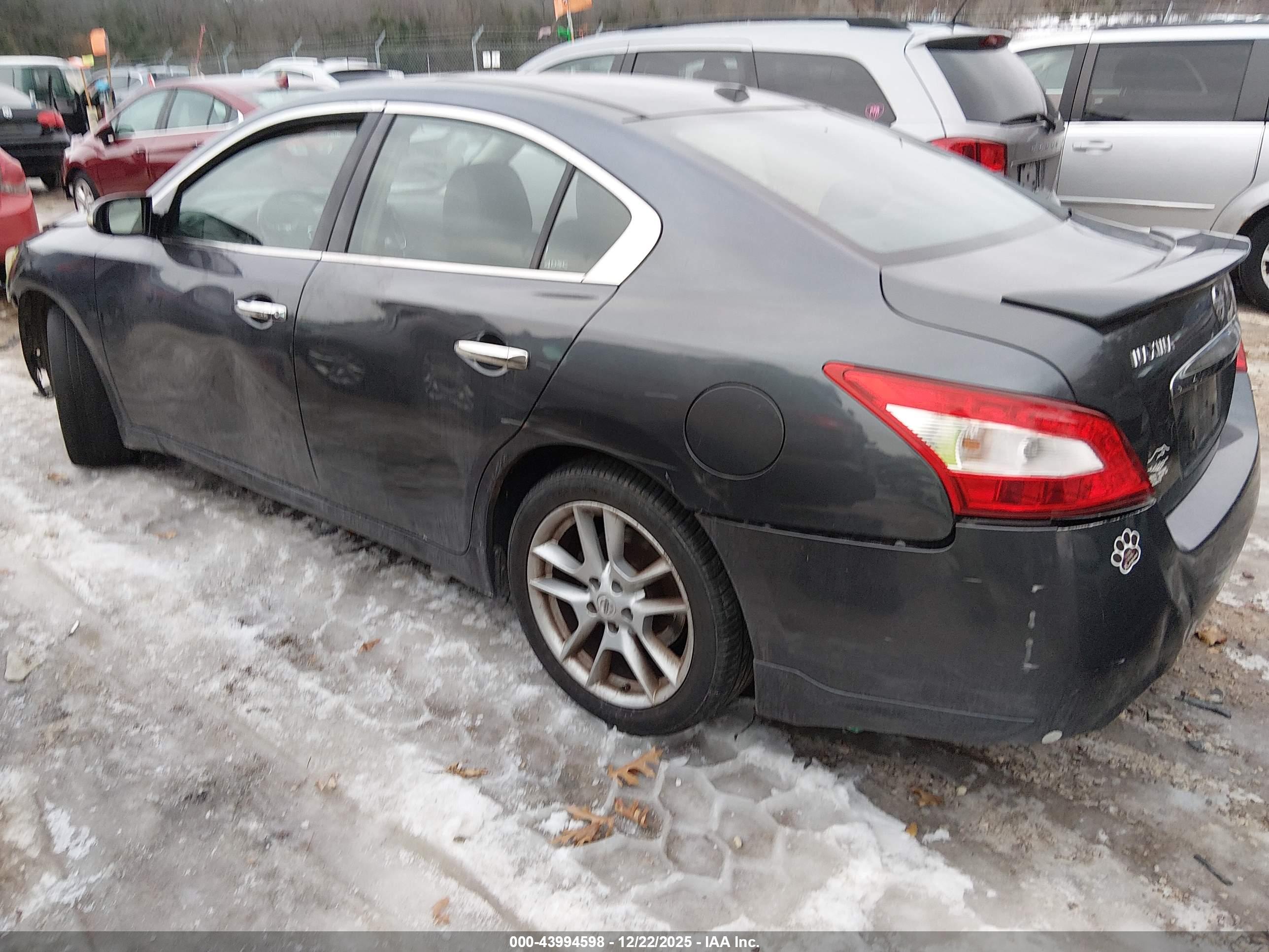 NISSAN MAXIMA image 3