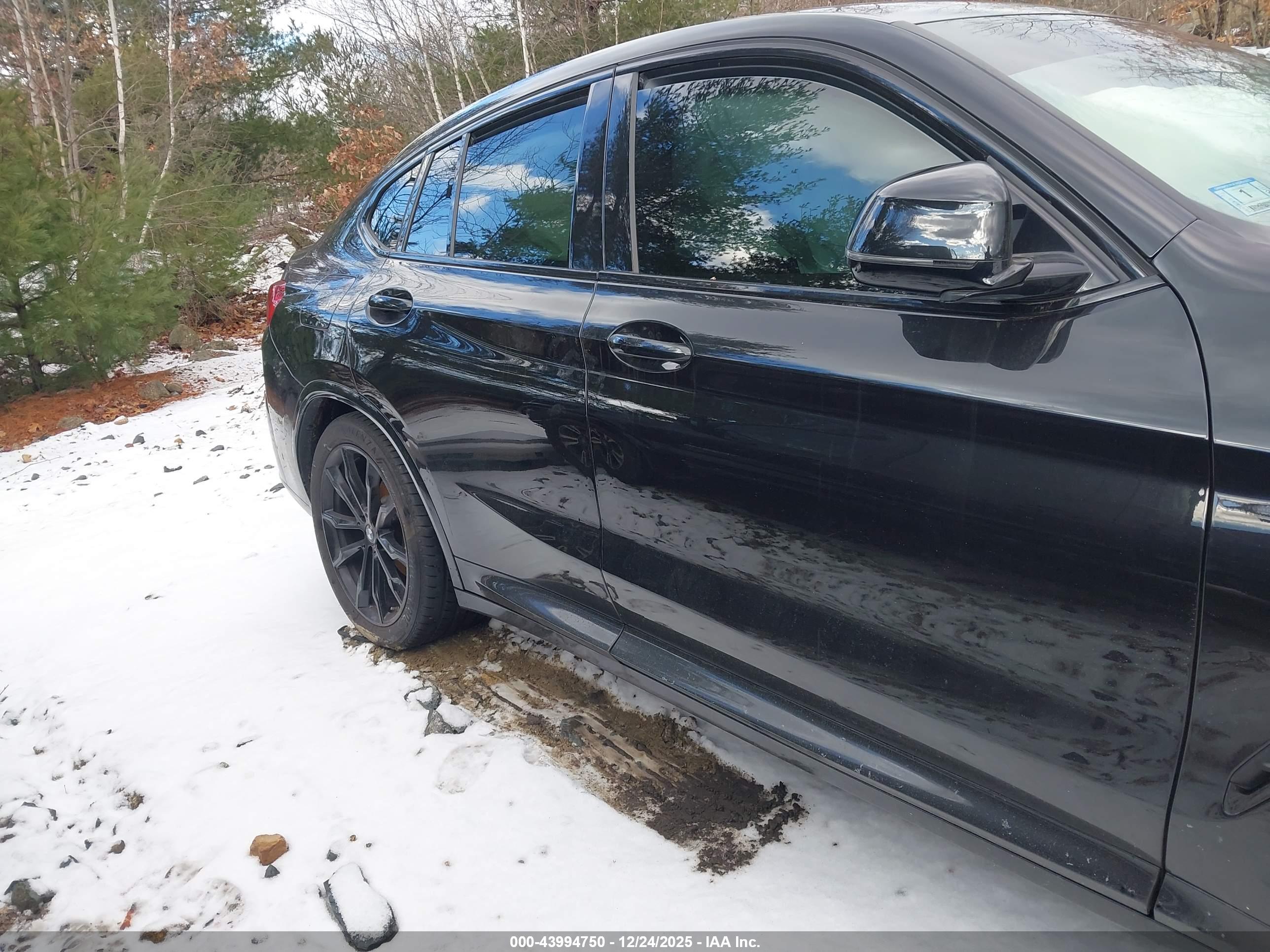 BMW X4 image 5