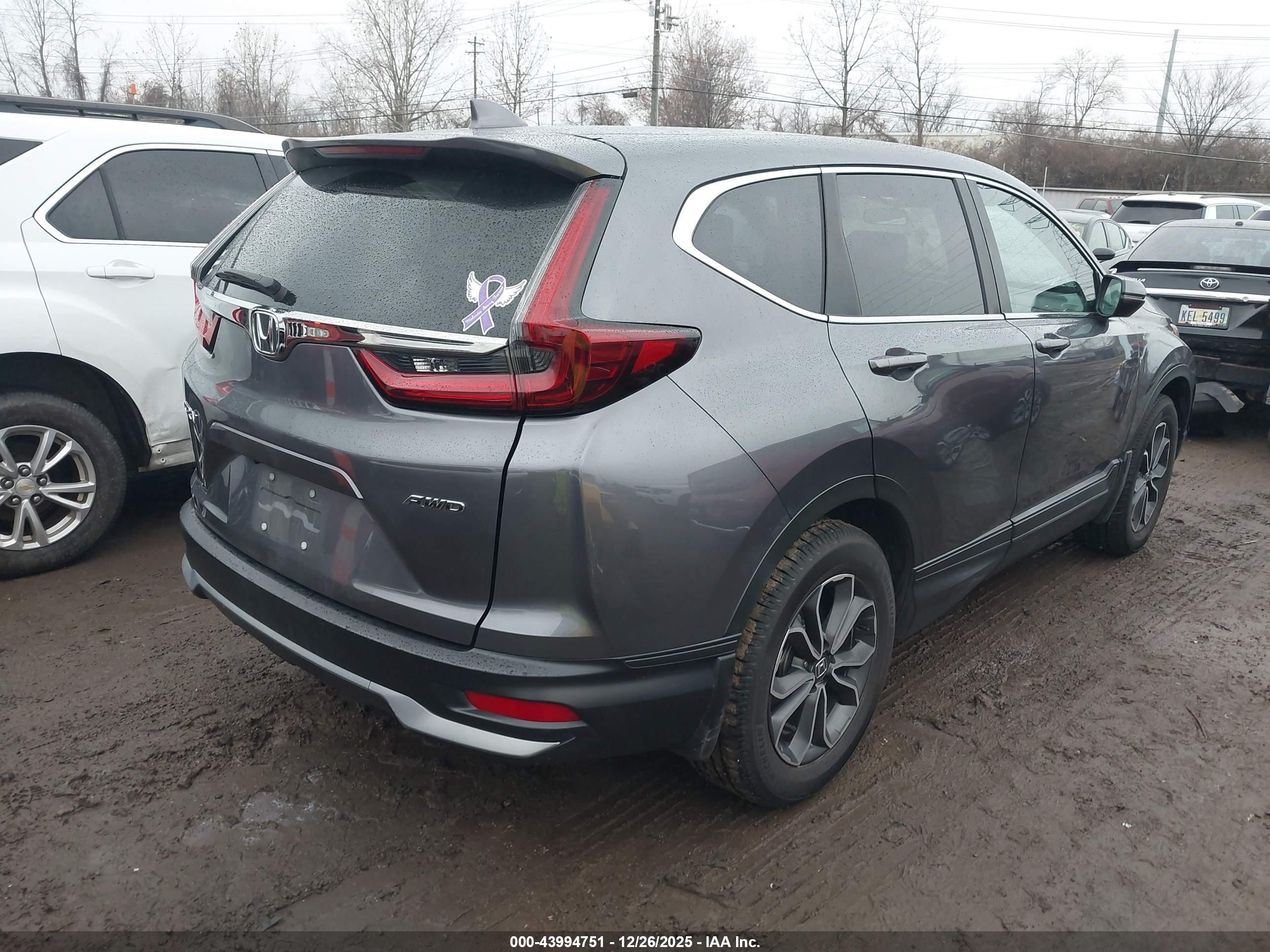 HONDA CR-V image 4