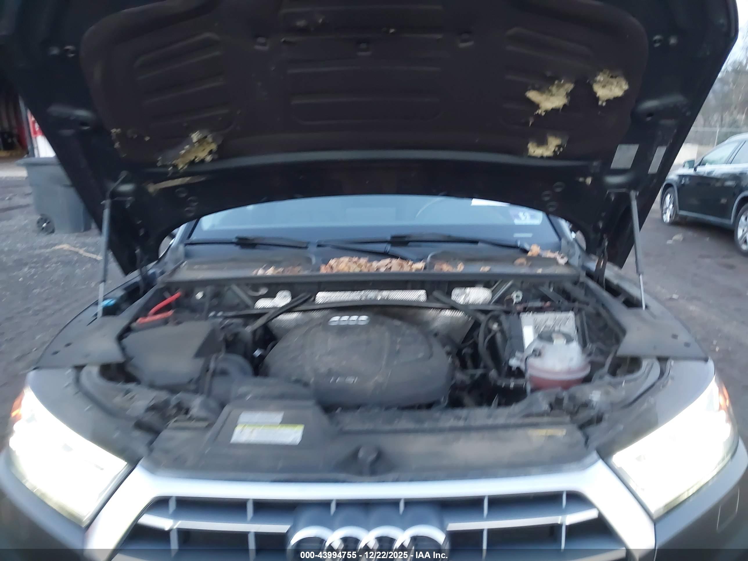 AUDI Q5 image 10