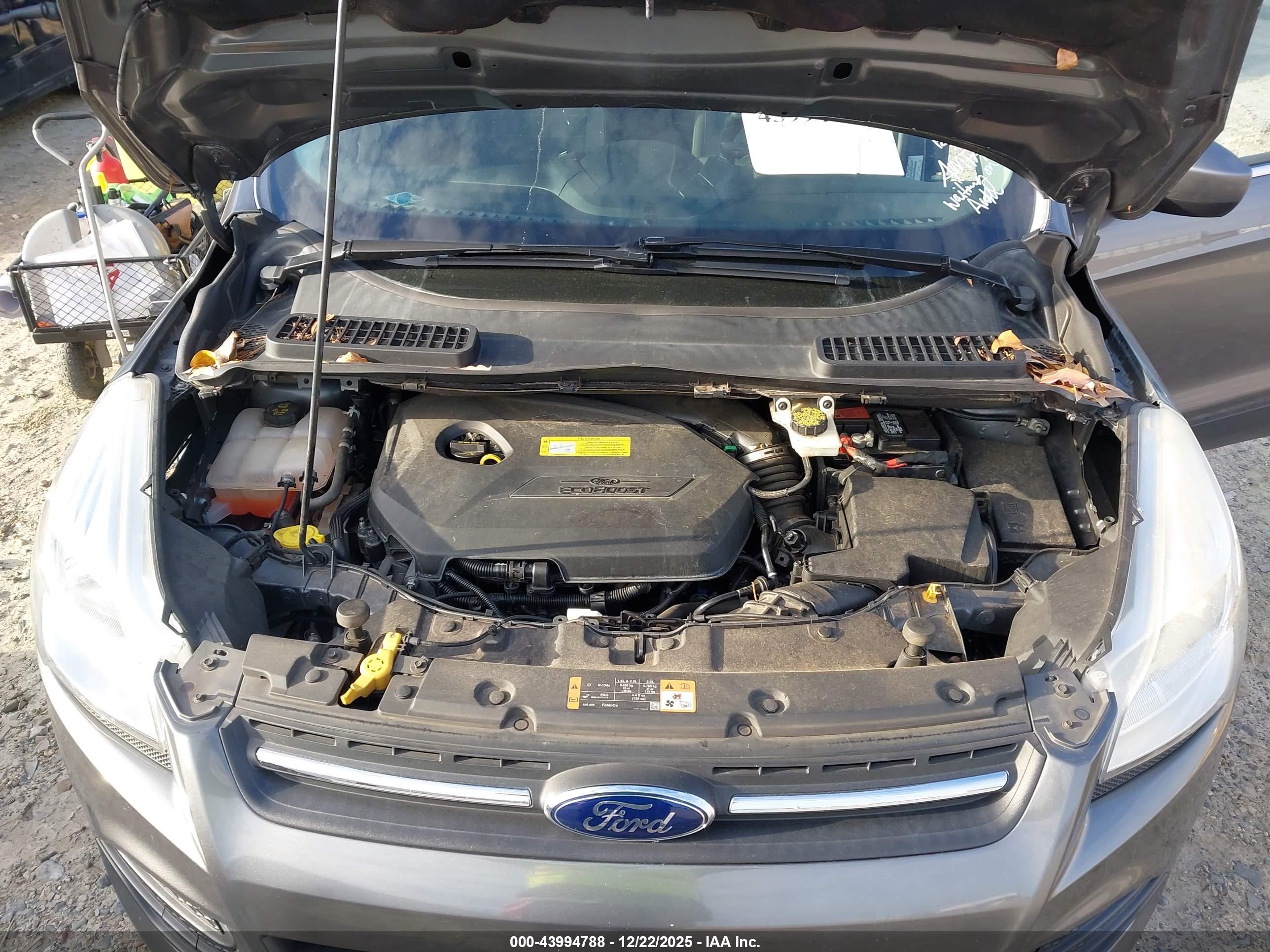 FORD ESCAPE image 10