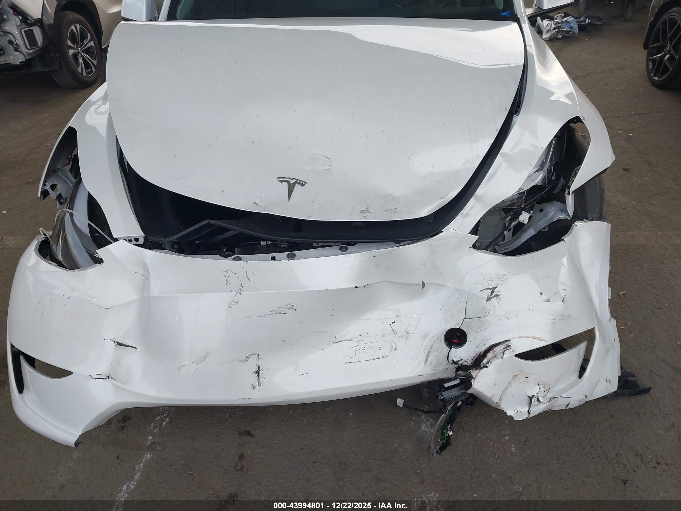 TESLA MODEL image 6
