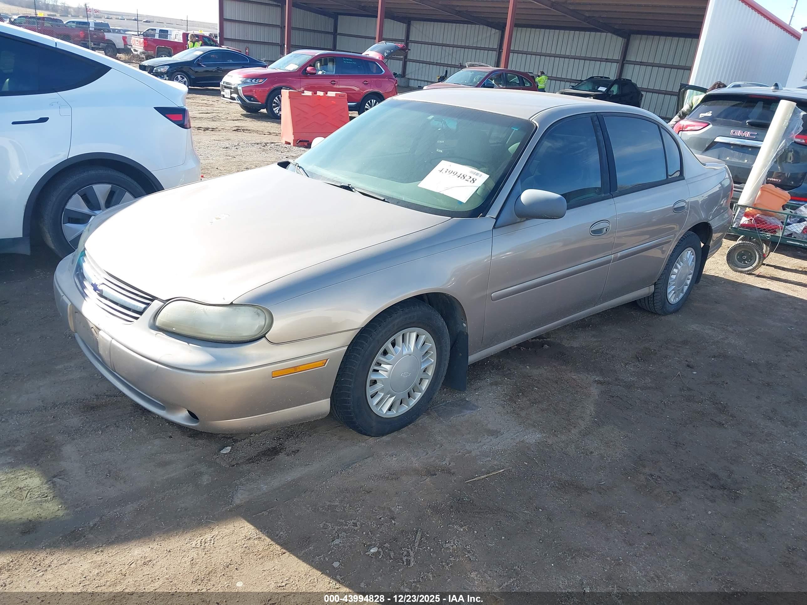 CHEVROLET MALIBU image 2