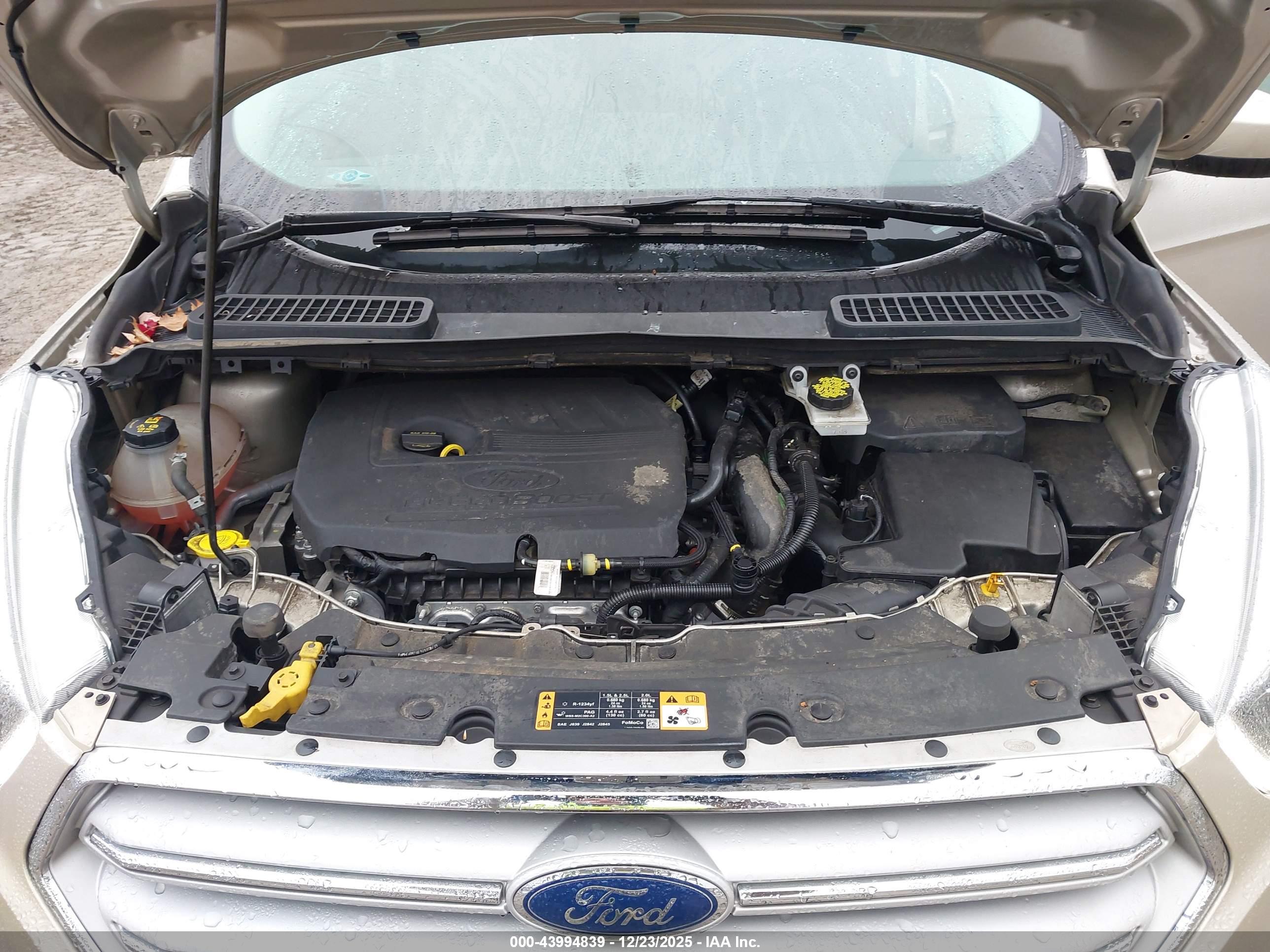 FORD ESCAPE image 10