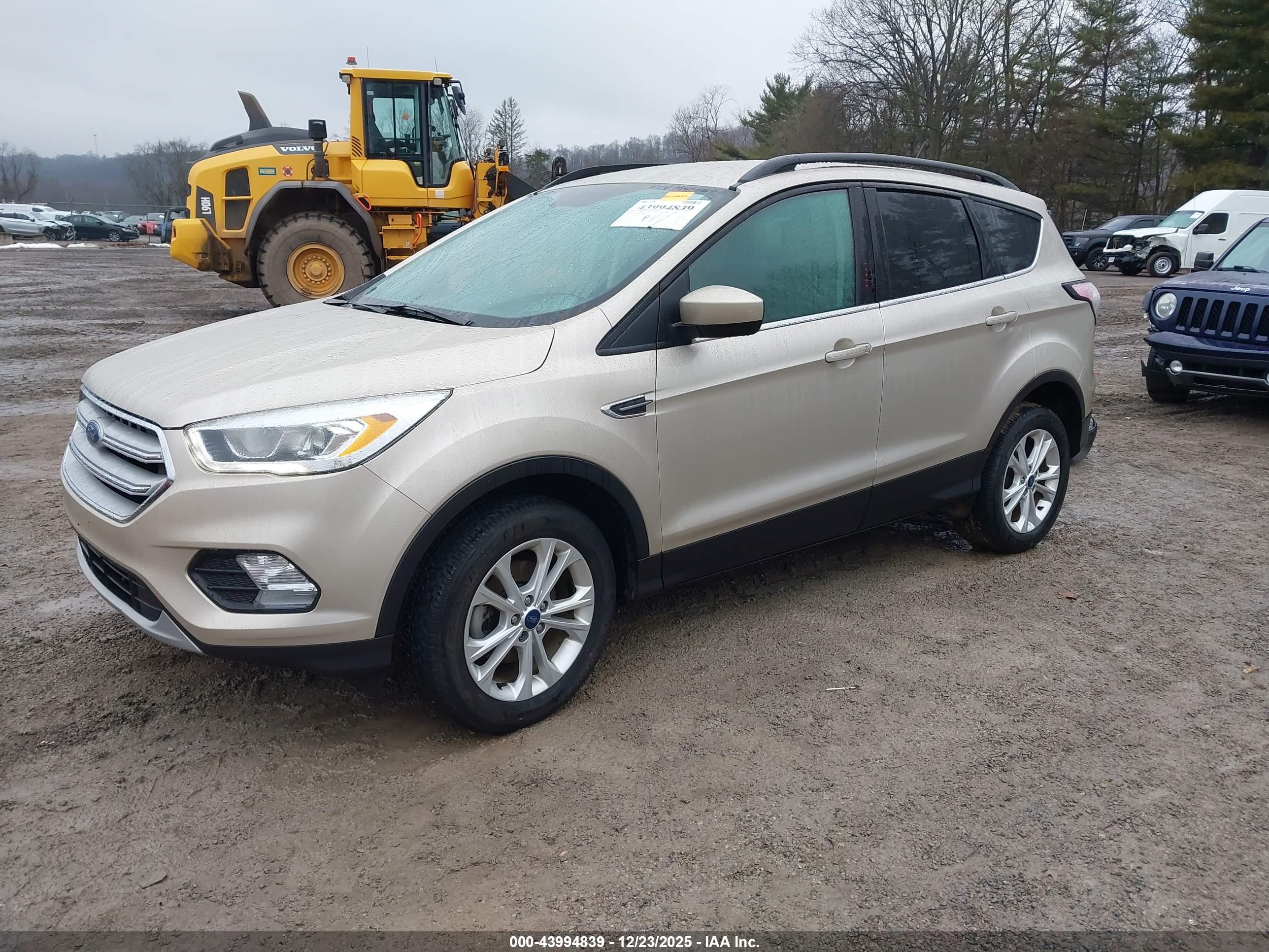FORD ESCAPE image 2