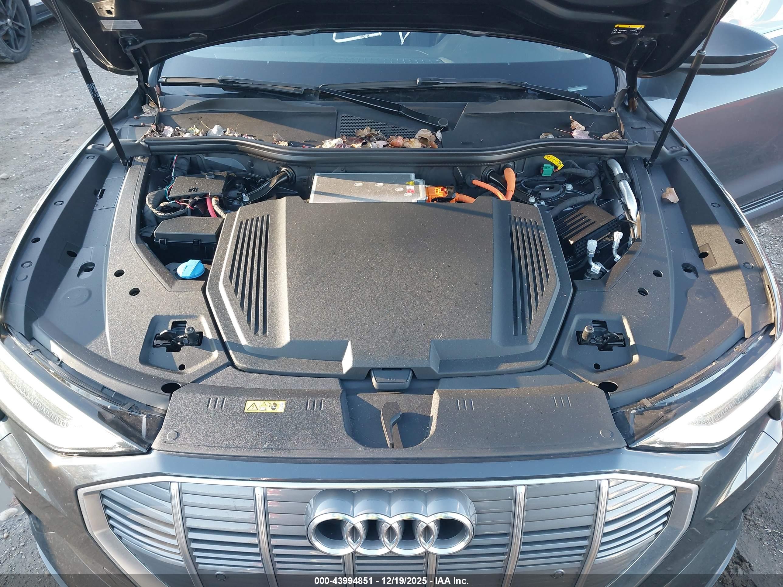AUDI E-TRON image 10