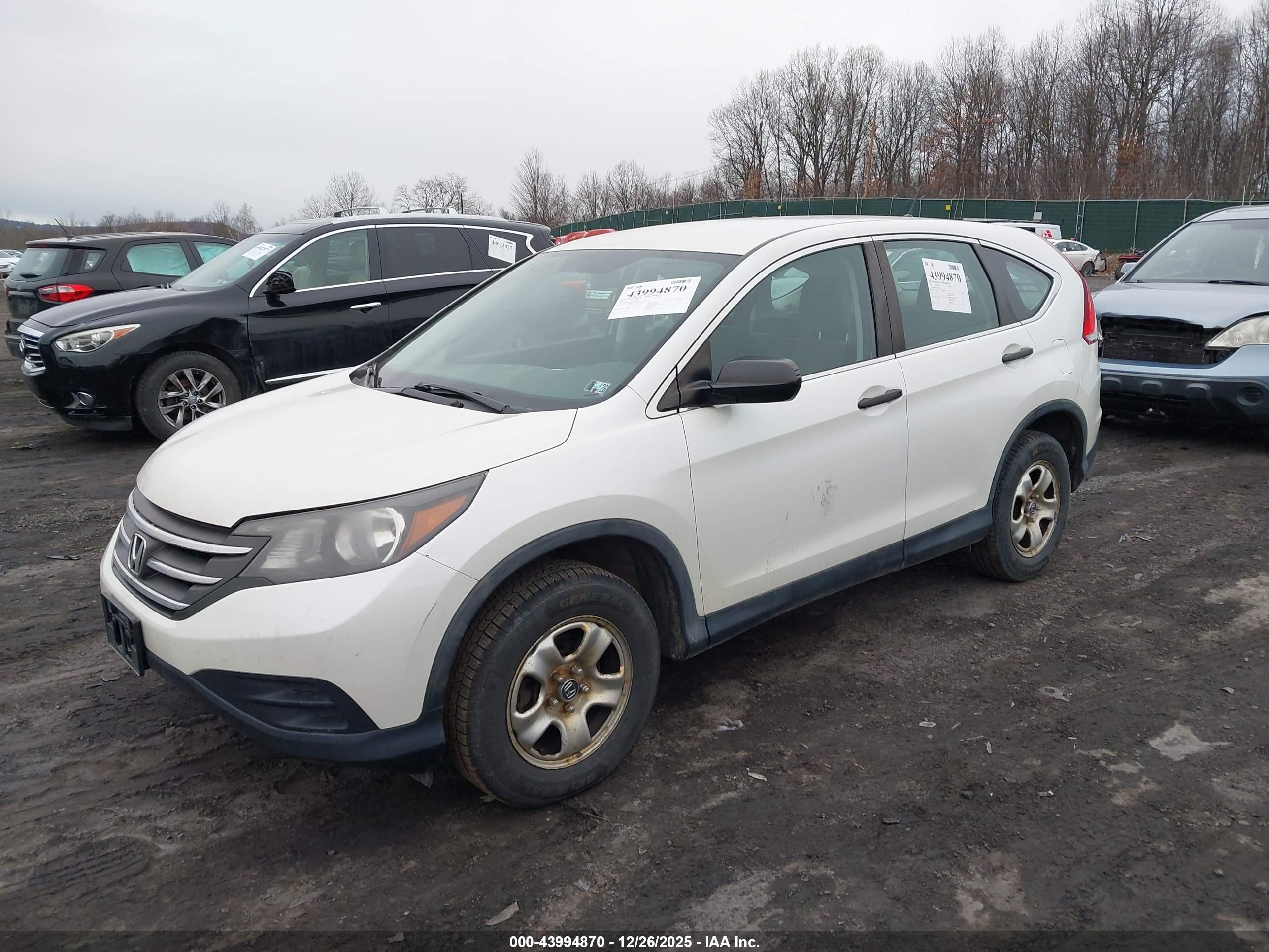 HONDA CR-V image 2