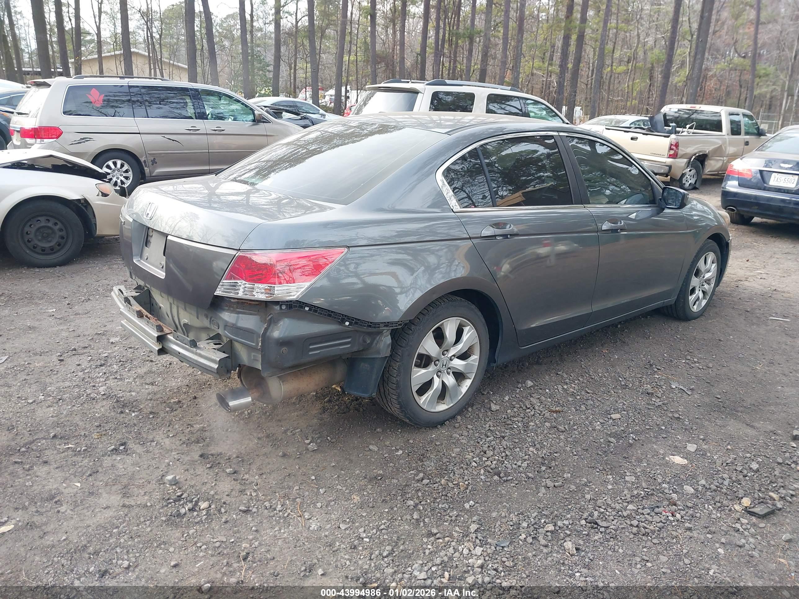 HONDA ACCORD image 4