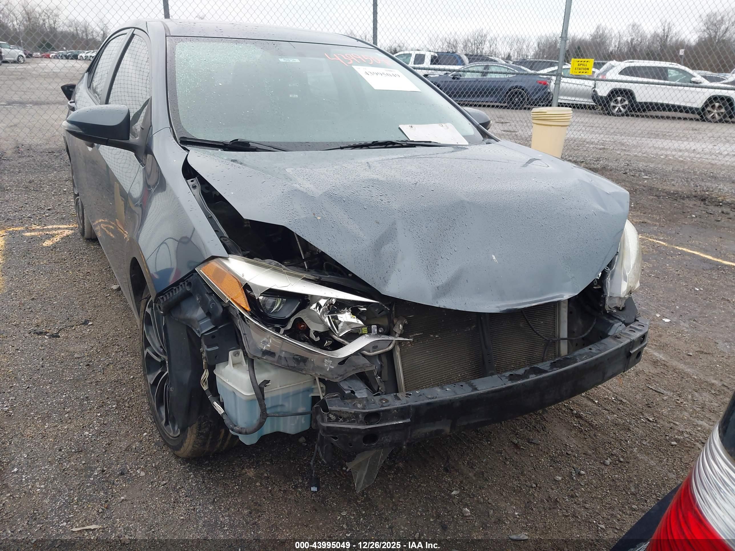 TOYOTA COROLLA image 6