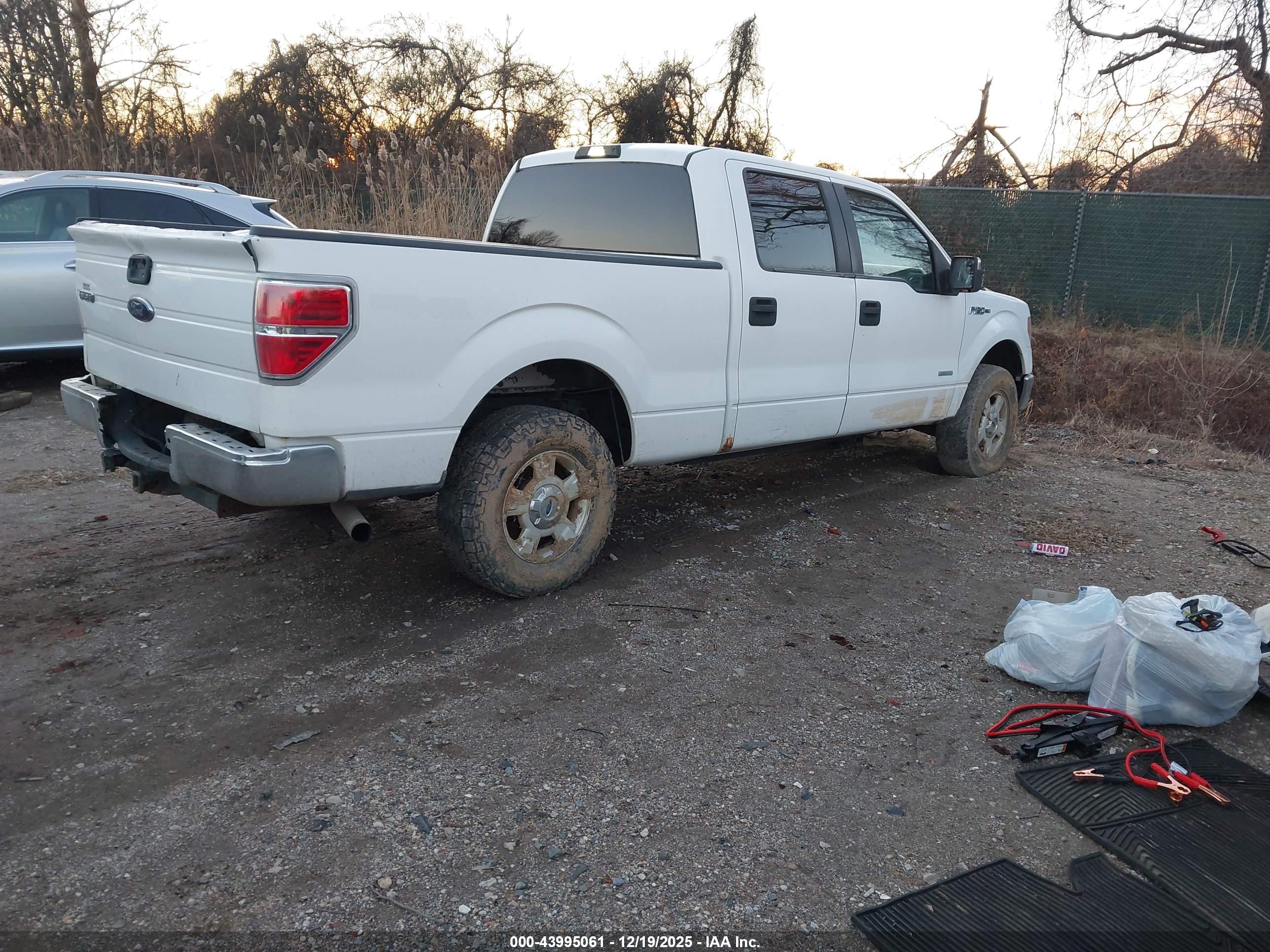 FORD F-150 image 4