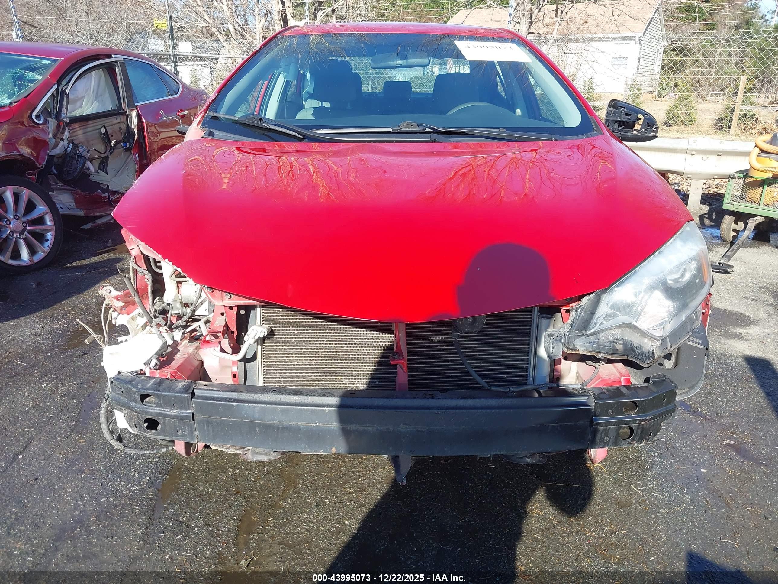 TOYOTA COROLLA image 6