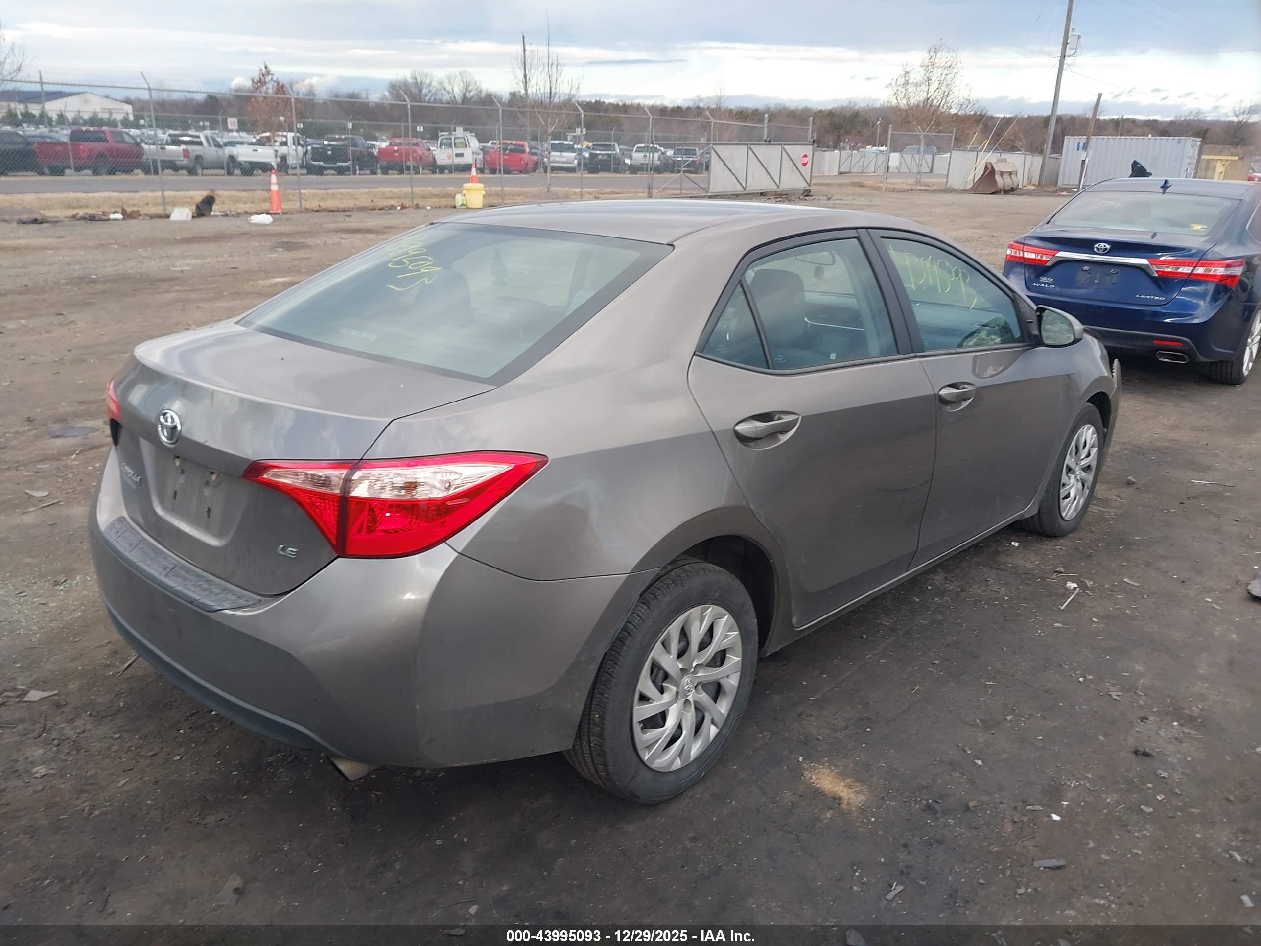TOYOTA COROLLA image 4