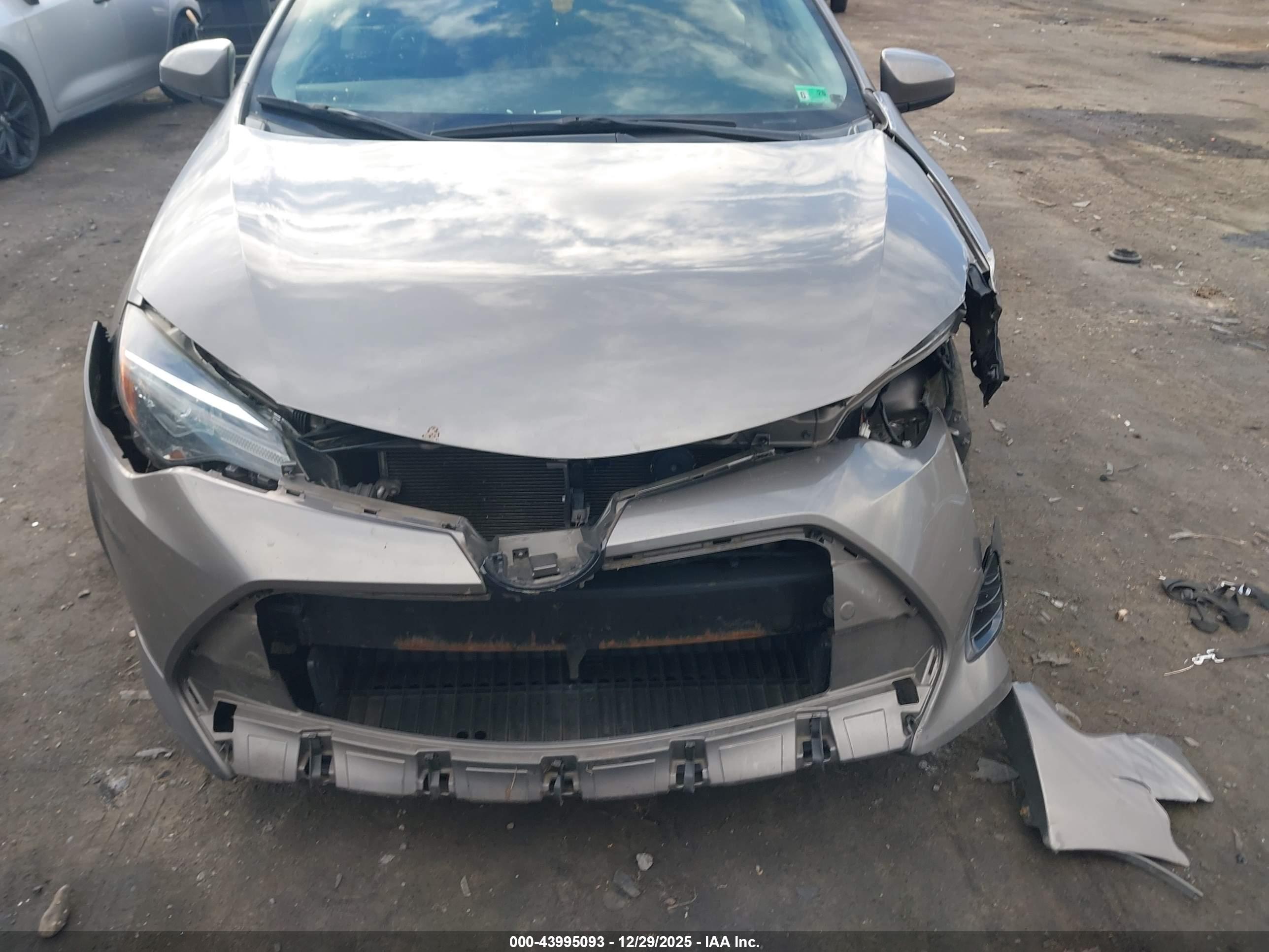 TOYOTA COROLLA image 6